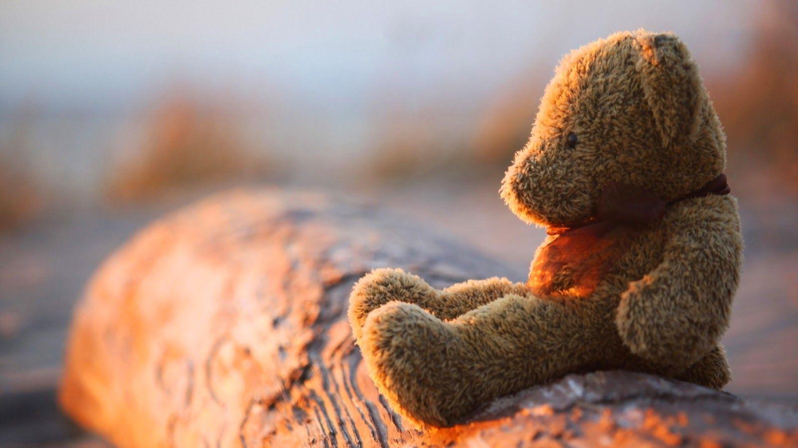 Picture of sad teddy bear lost & lonely feeling after love break up