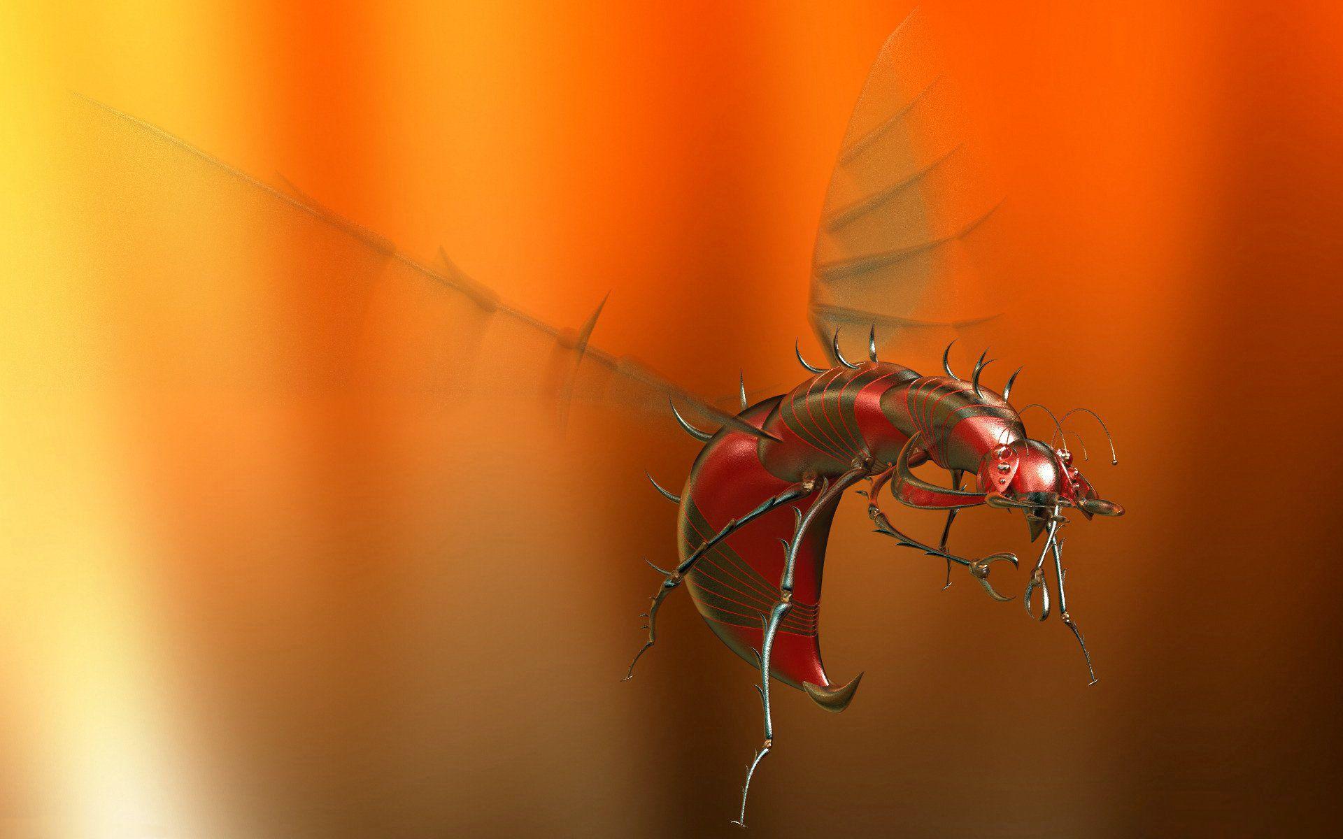 aluminum mosquito Full HD Wallpaper and Backgroundx1200