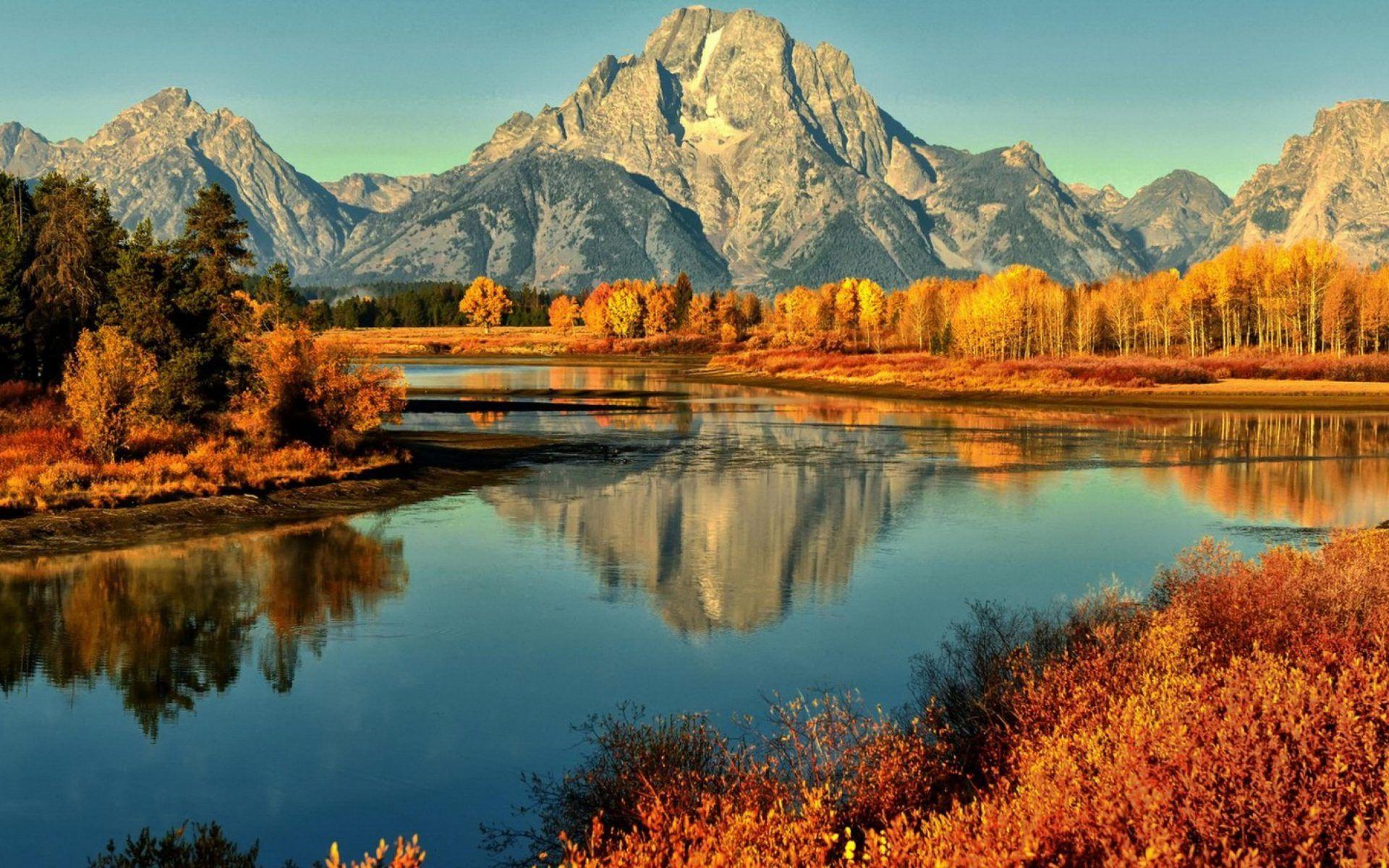 Grand Tetons National Park Curve River Forest With Yellow Leaves