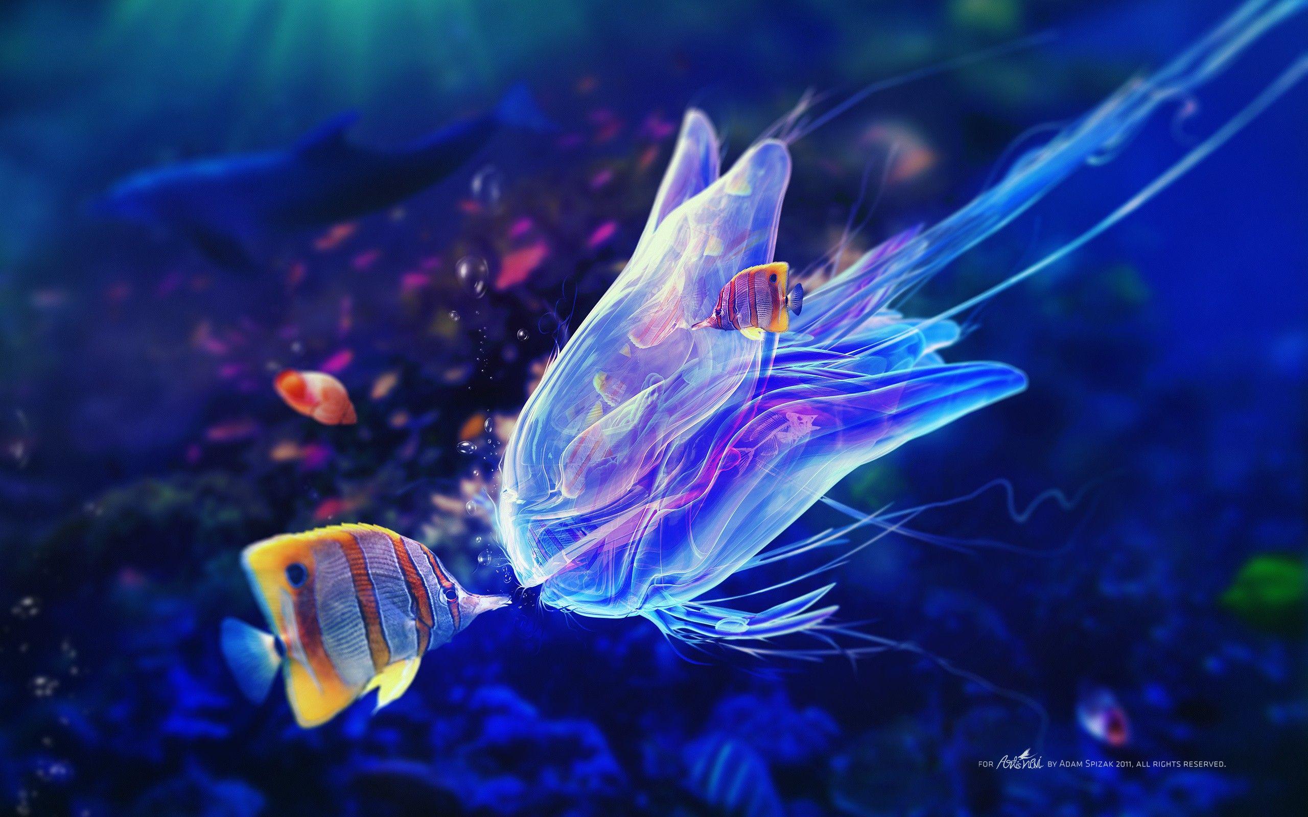 Blue fish jellyfish artwork underwater adam spizak wallpaper