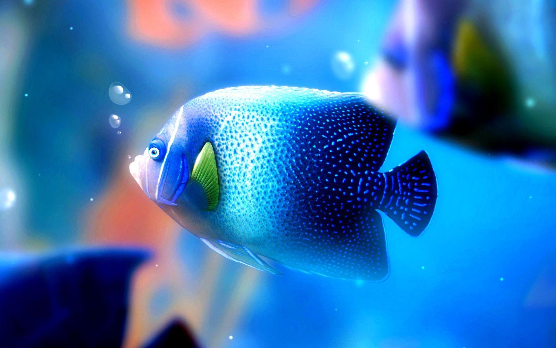 Wallpaper Fish