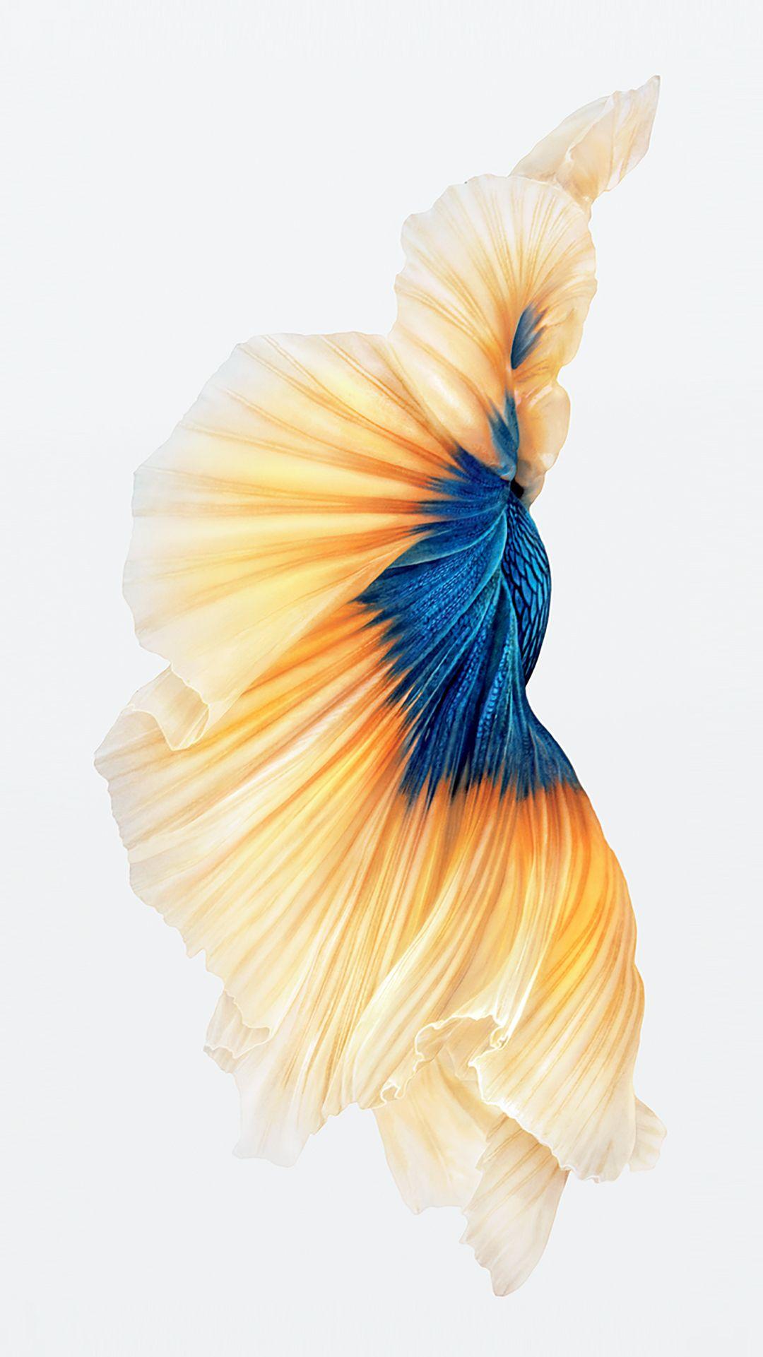 IPhone 6s Silver Blue Fish Wallpaper.png (1080×1921). IPHONE