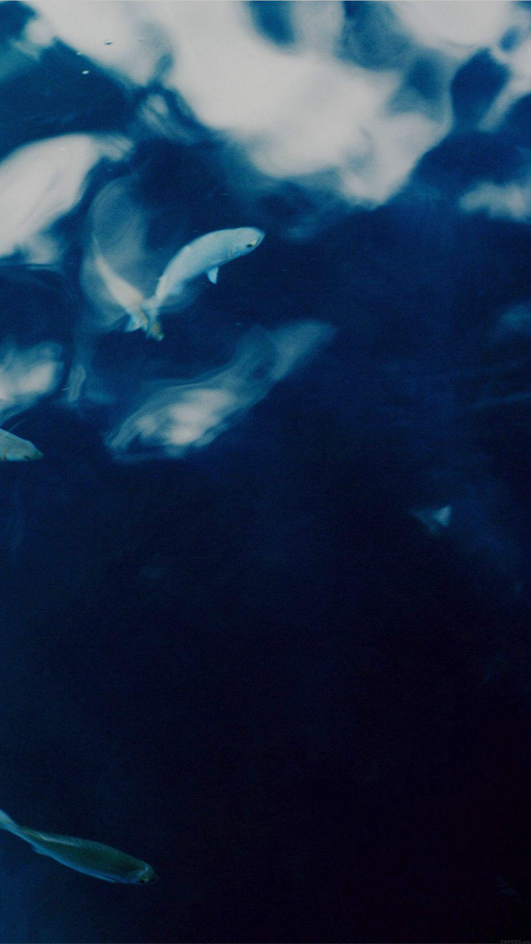 Water Lake Fish Nature Indigo Blue #iPhone #plus #wallpaper