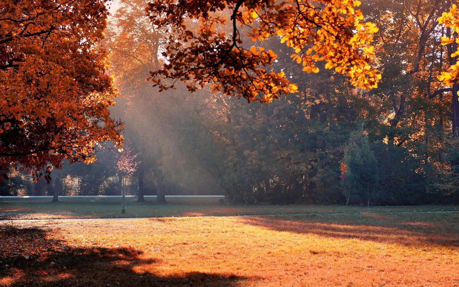 Herfst Wallpaper (herfstfoto's)
