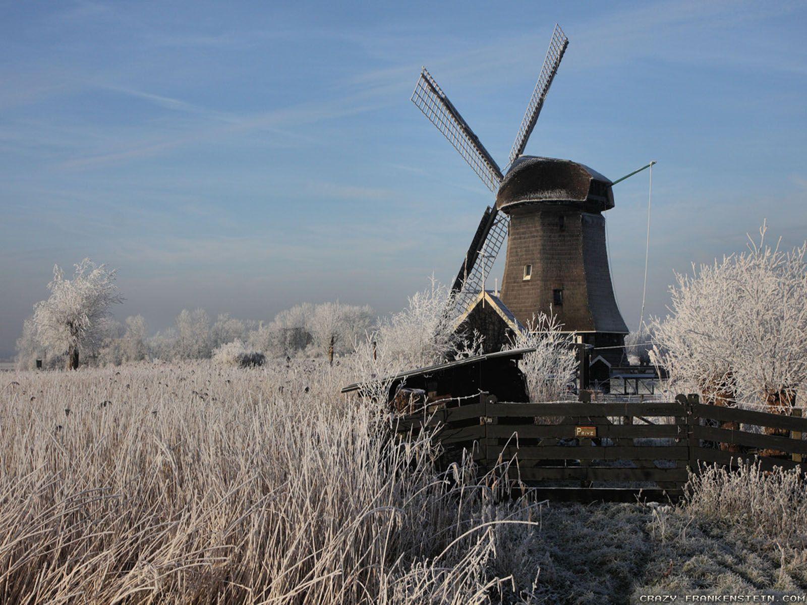 Winter Scenes wallpaper