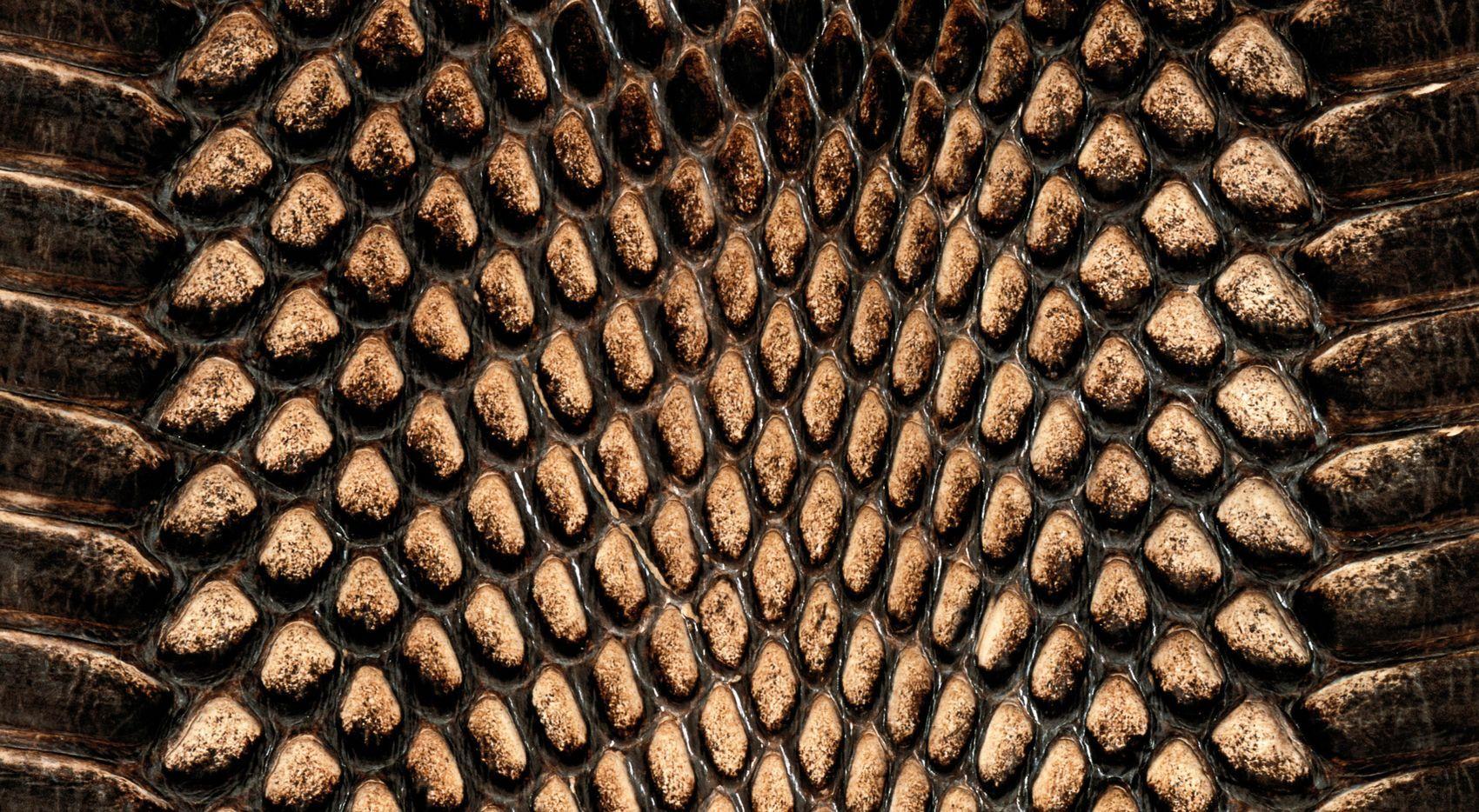 Snake Skin Wallpaper