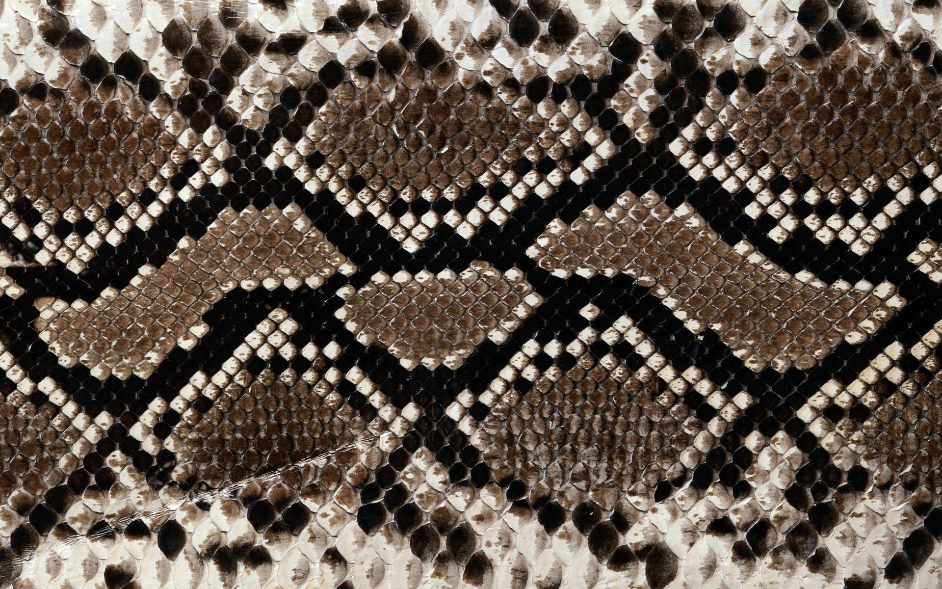 Snake Skin Wallpaper High Quality
