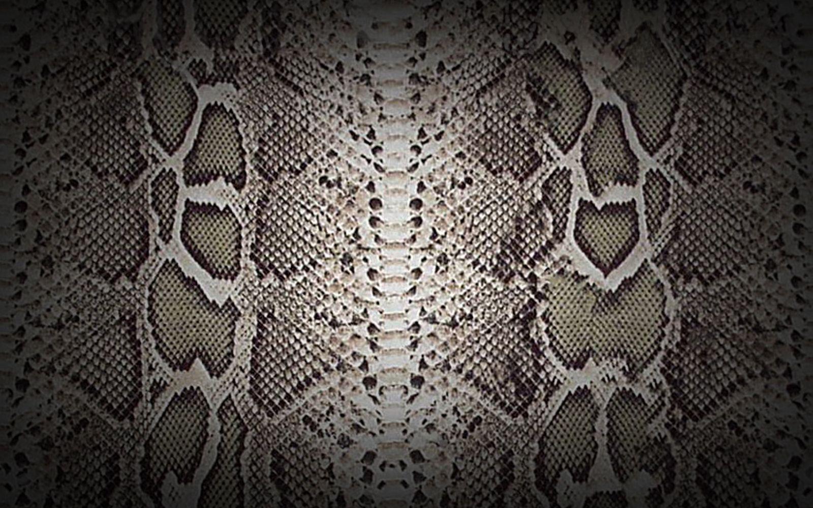 wallpaper: Snake Skin Wallpaper