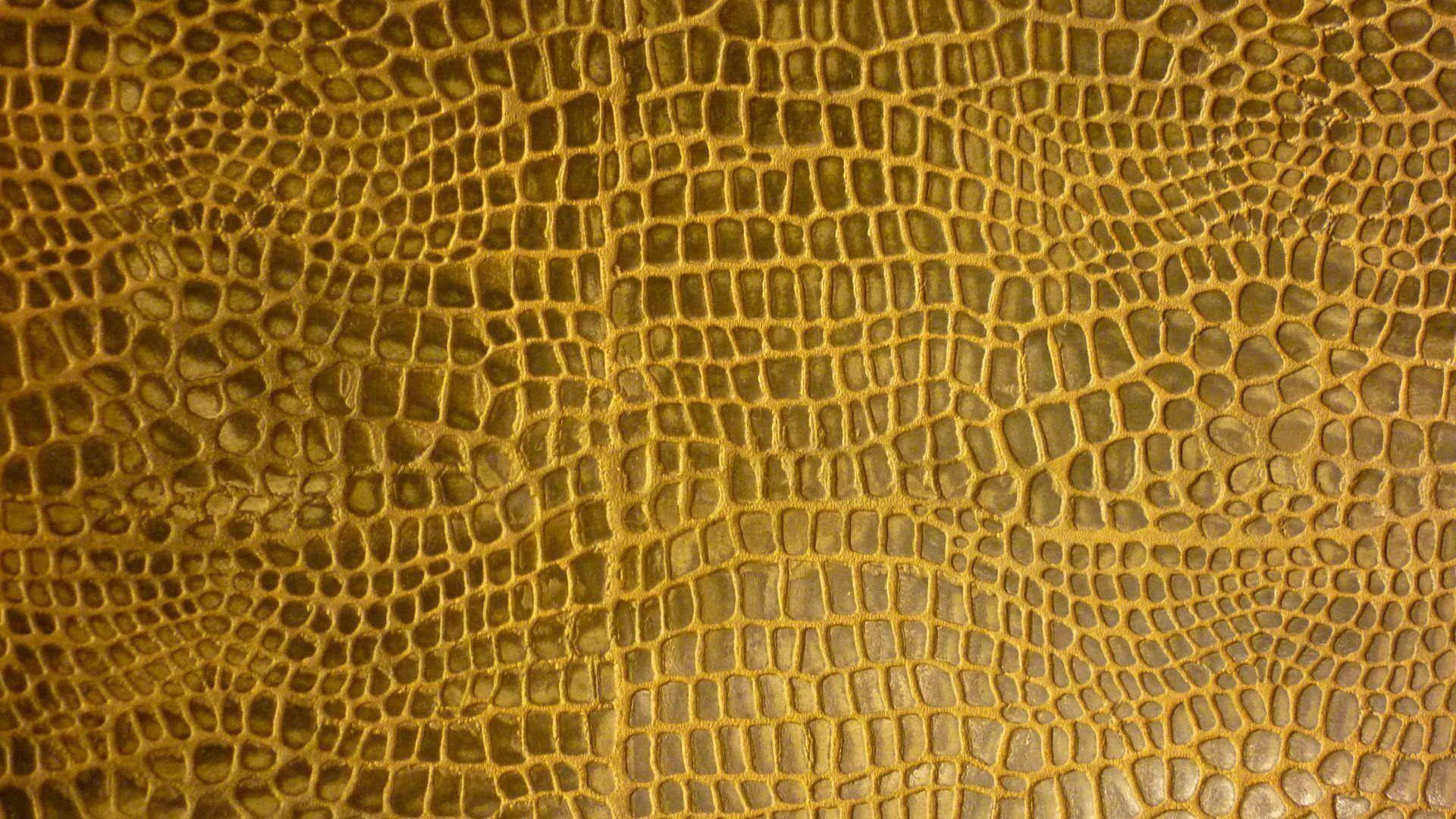 Snake Skin Wallpapers - Wallpaper Cave