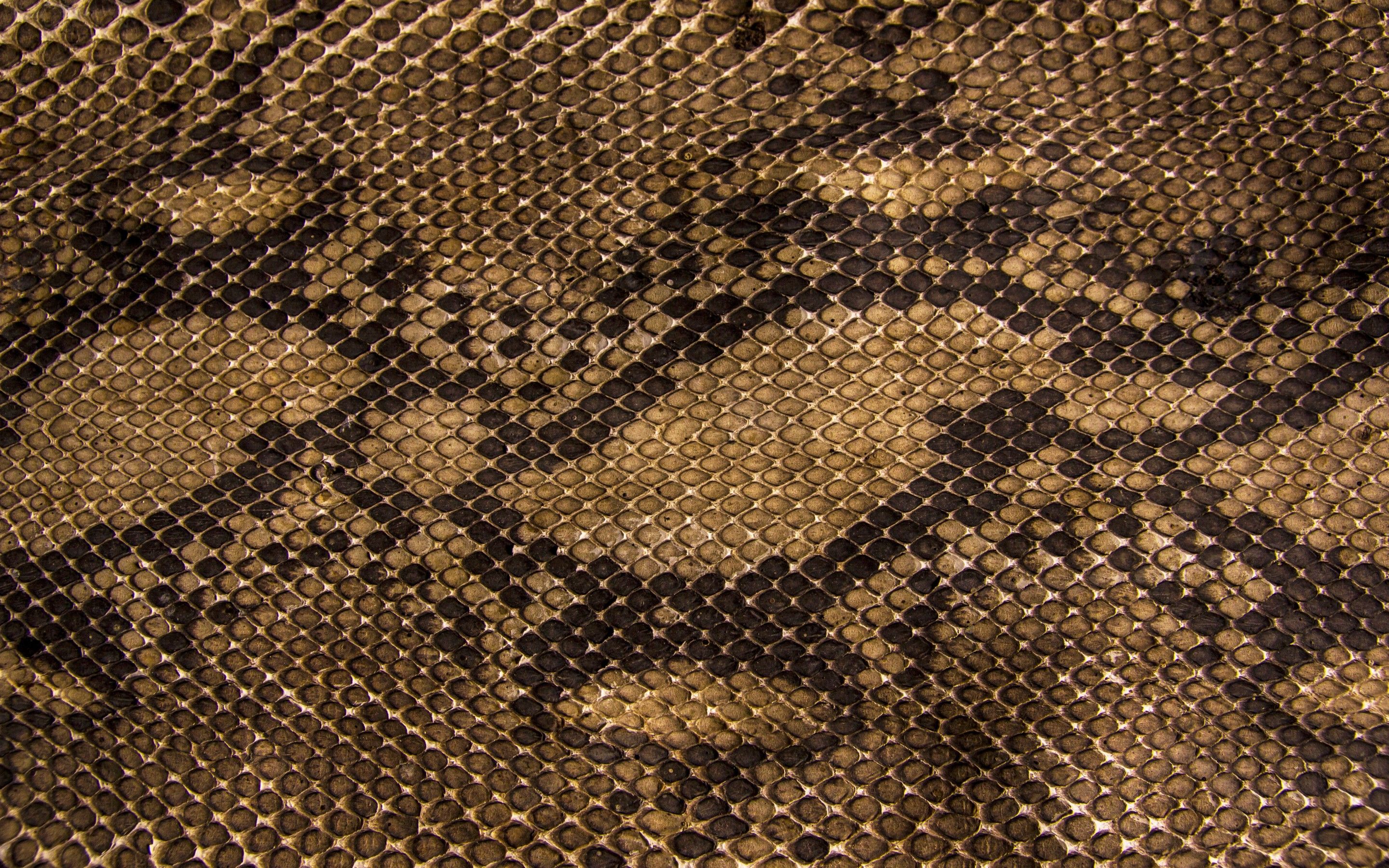 Background Snake Skin Wallpaper