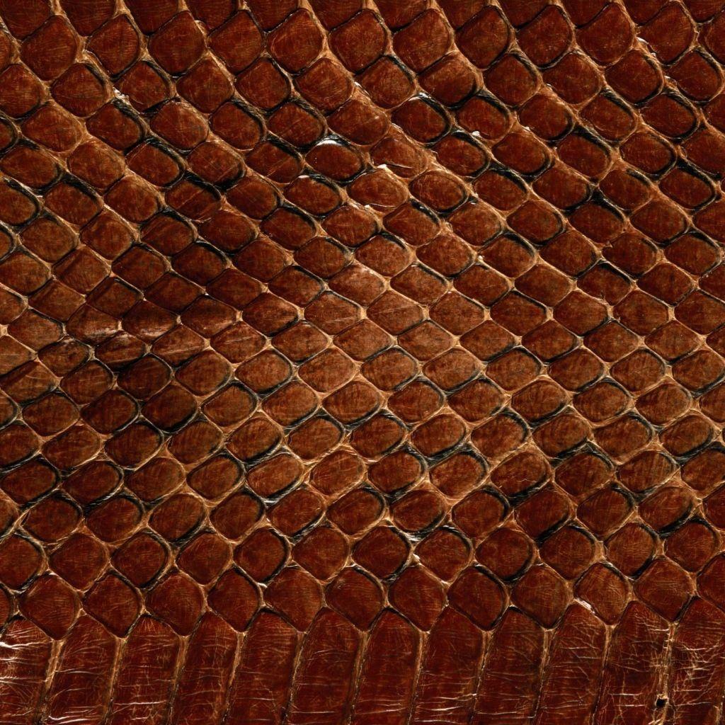 Download Wallpaper 1024x1024 Texture, Leather, Snake, Scales