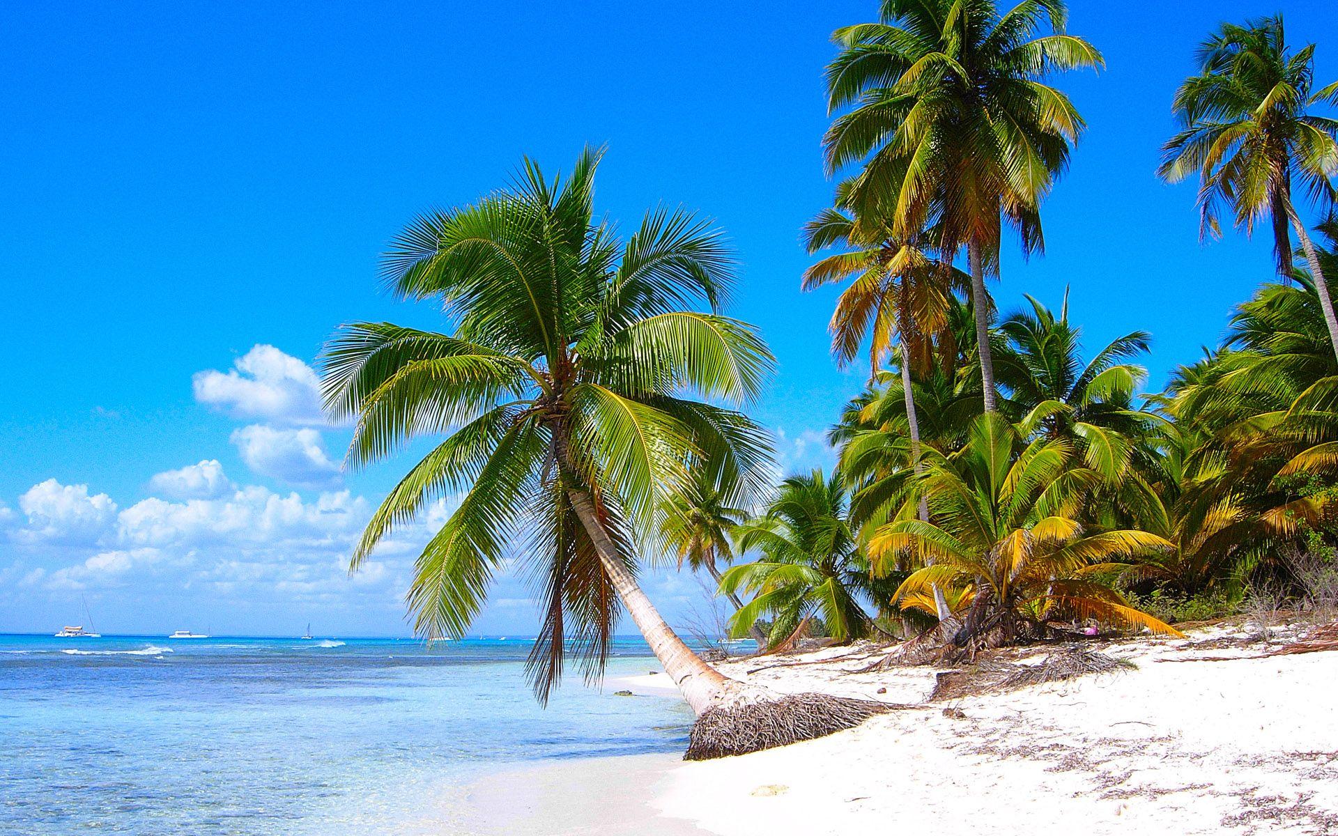 Saona Island Beach, Near La Altagracia Province, Dominican