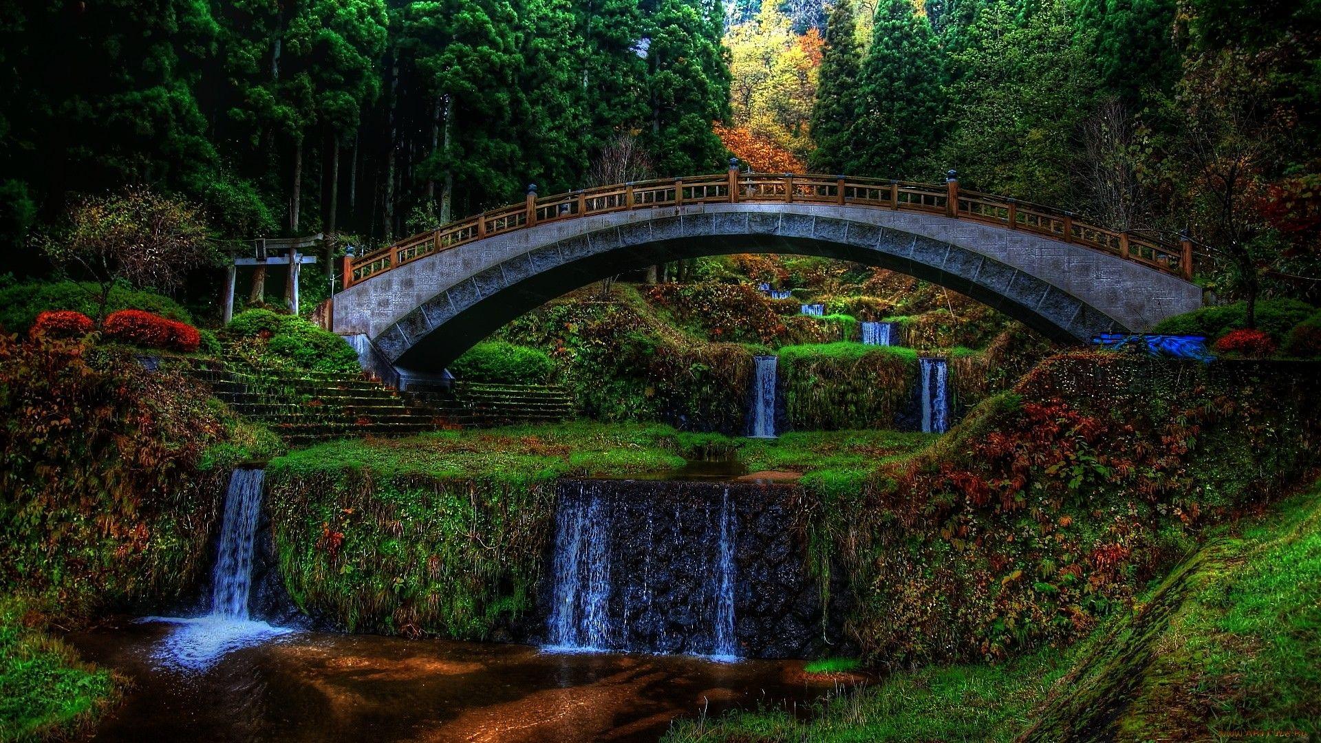 Waterfalls: Eden Lustre Cascade Beautiful Rich Dark Bridge Lush