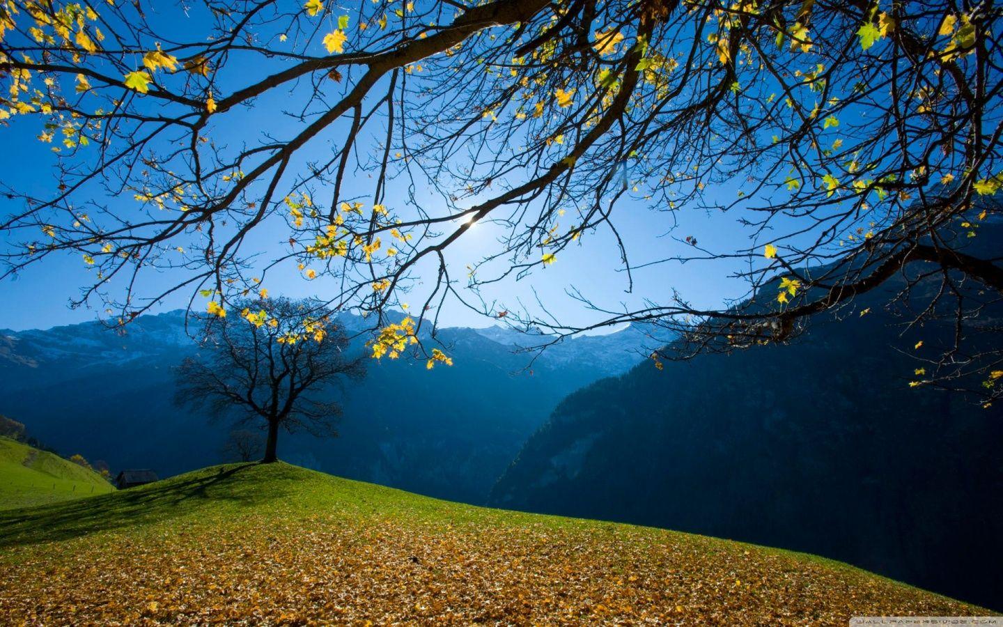 Autumn, Schachental, Switzerland HD desktop wallpaper, High