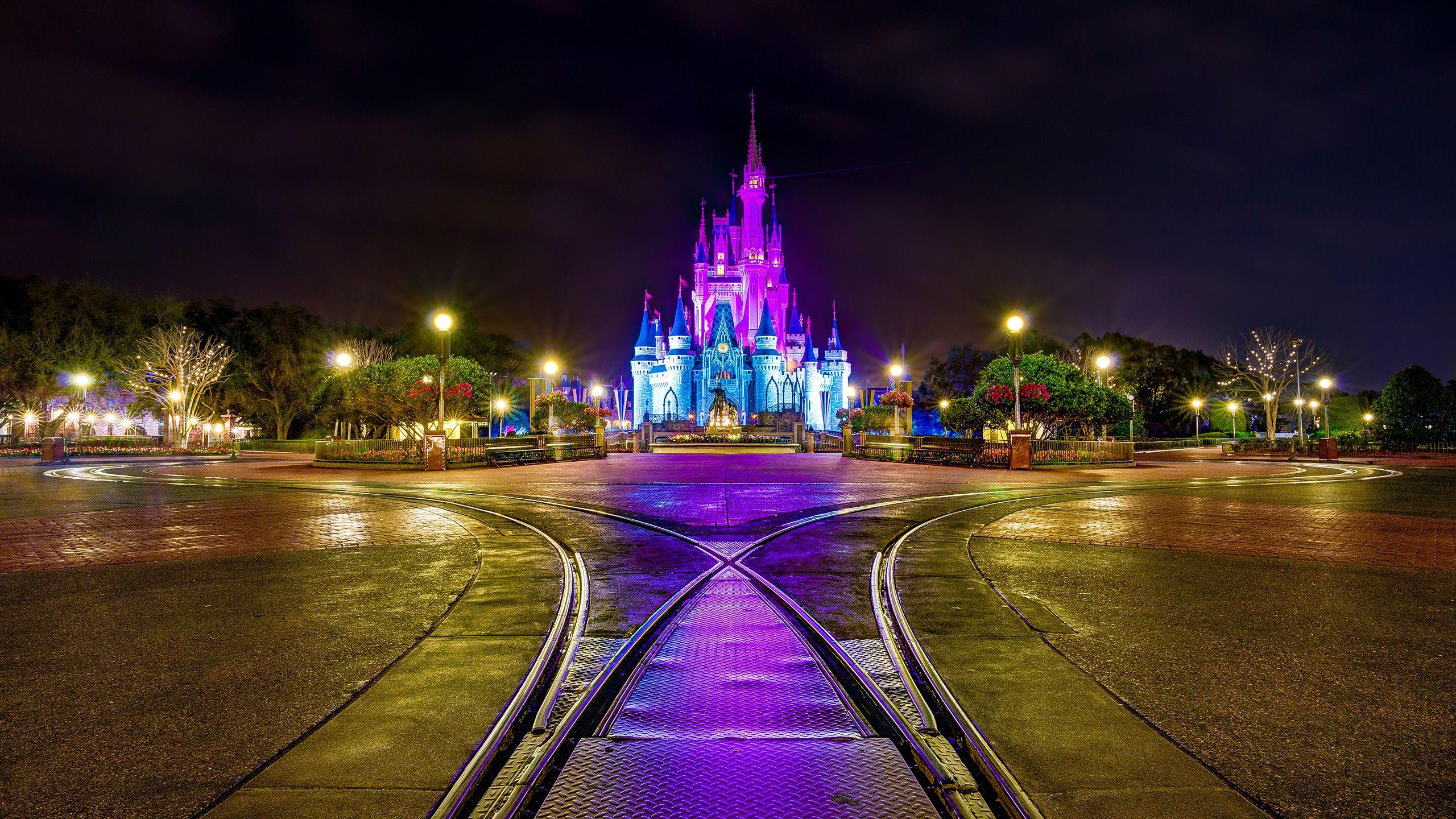 Magic Kingdom Update  February 2019  Disney castle Disney photography  Disney world tickets