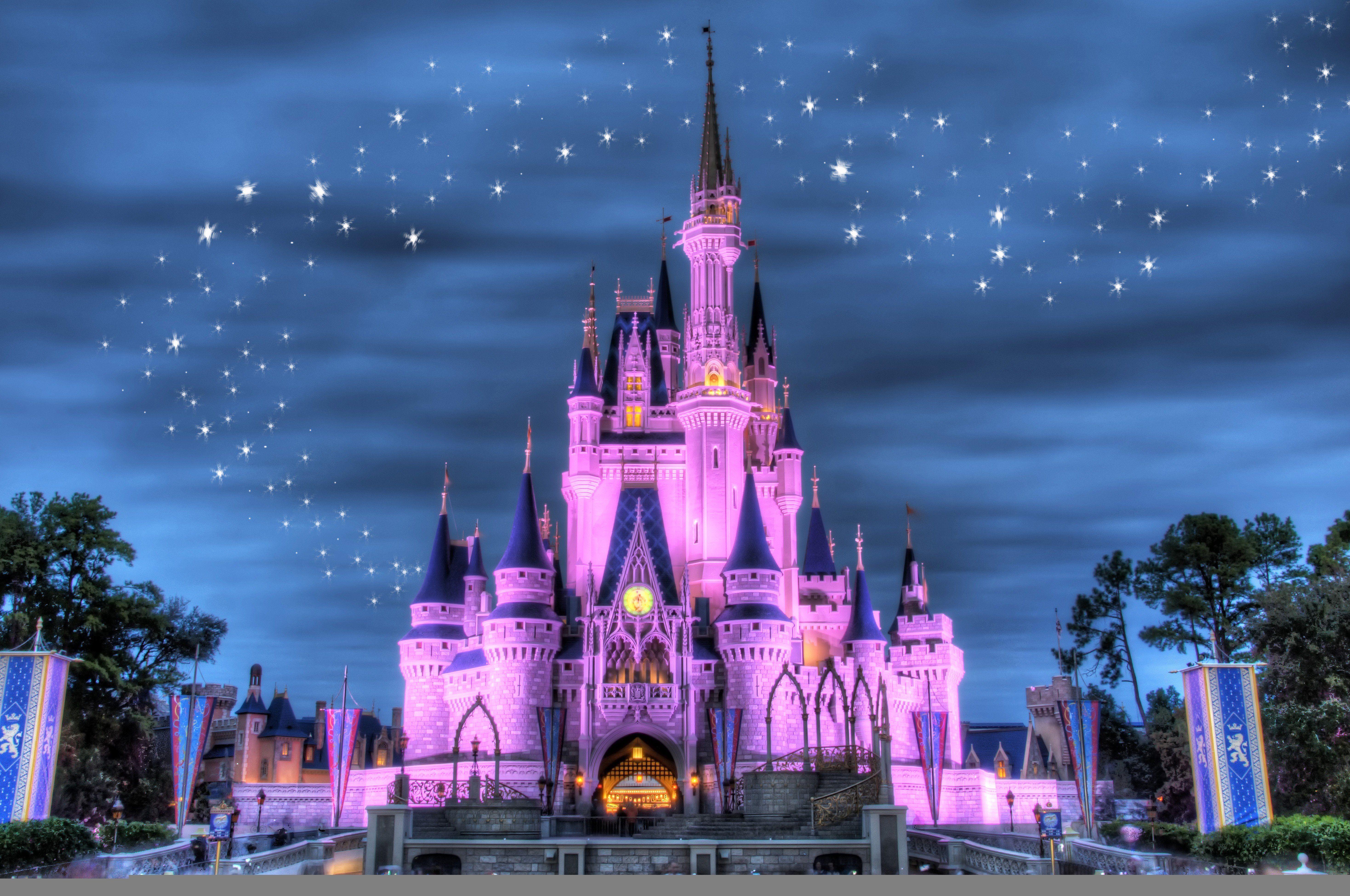 Walt Disney World Castle Wallpaper