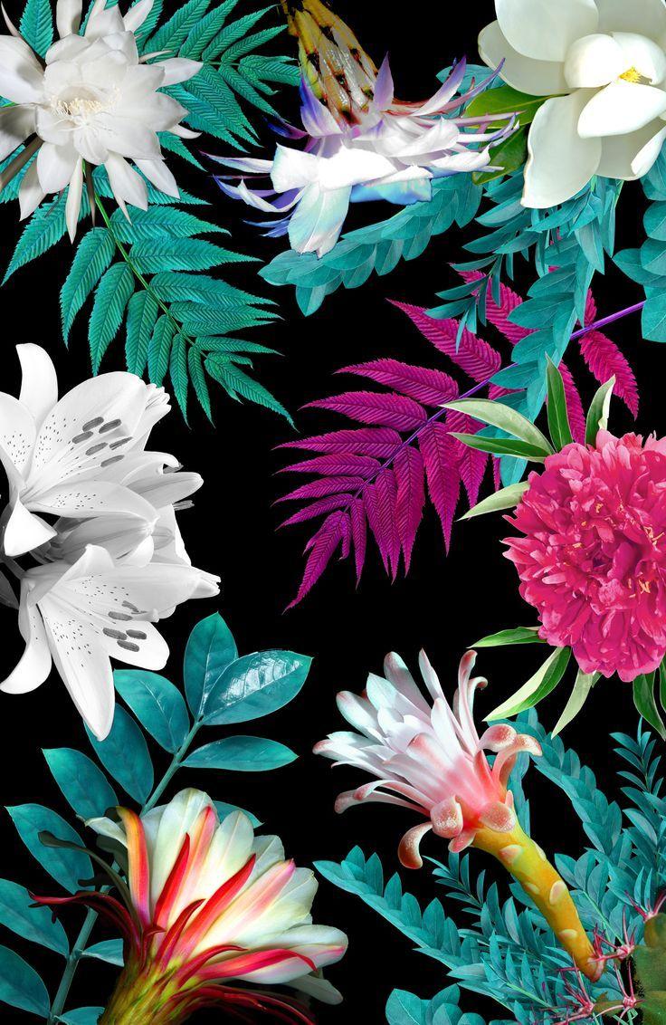 Tropical Flowers Wallpapers - Wallpaper Cave