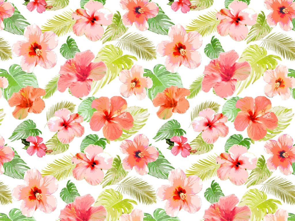  Tropical  Flowers  Wallpapers  Wallpaper  Cave