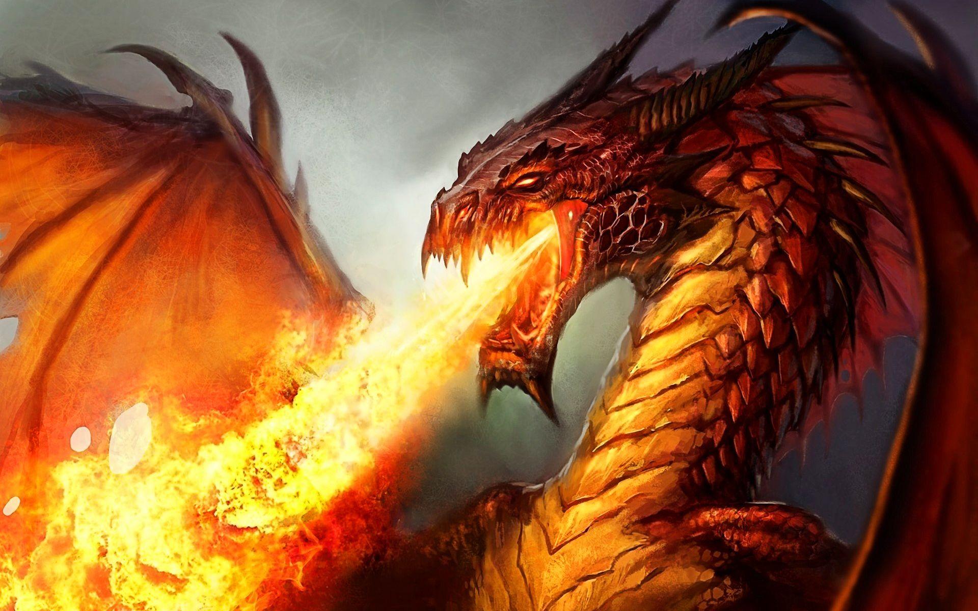 Dragon Fire Wallpaper Downloads 9946