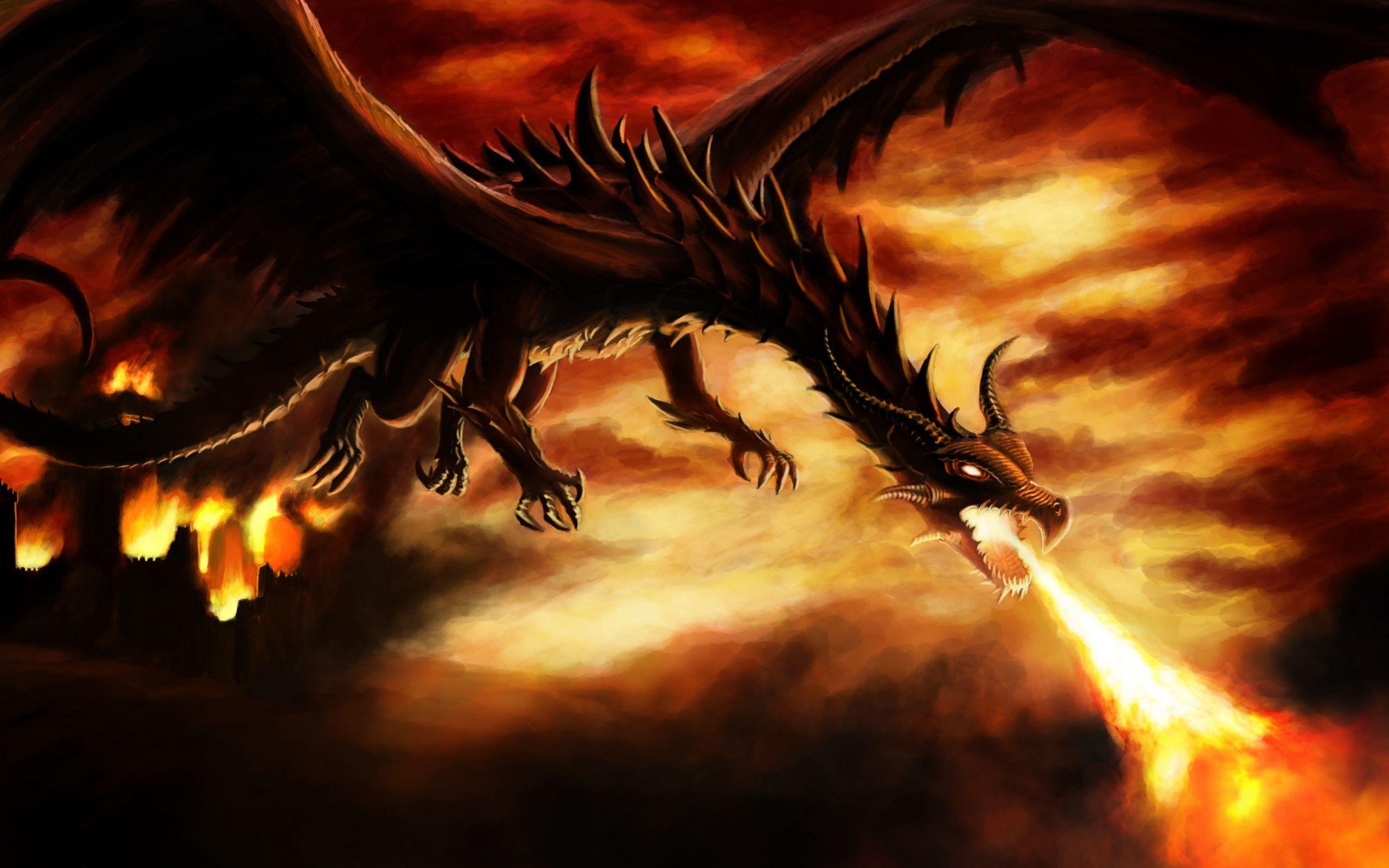 Dragon Fire Attack - [2560x1600]