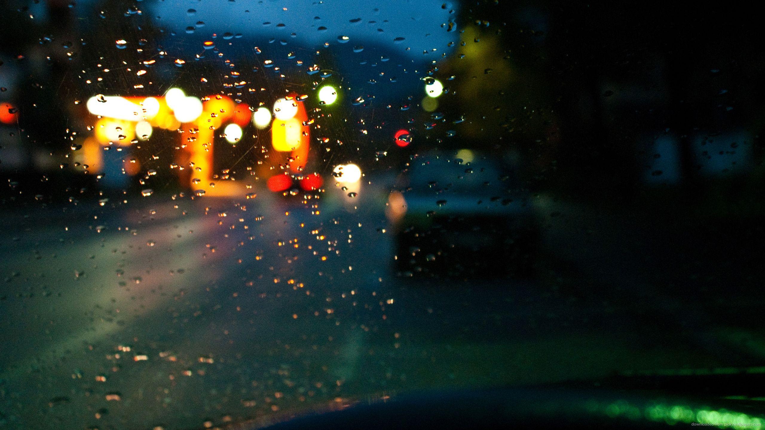 Download 2560x1440 Driving In The Rain Wallpaper
