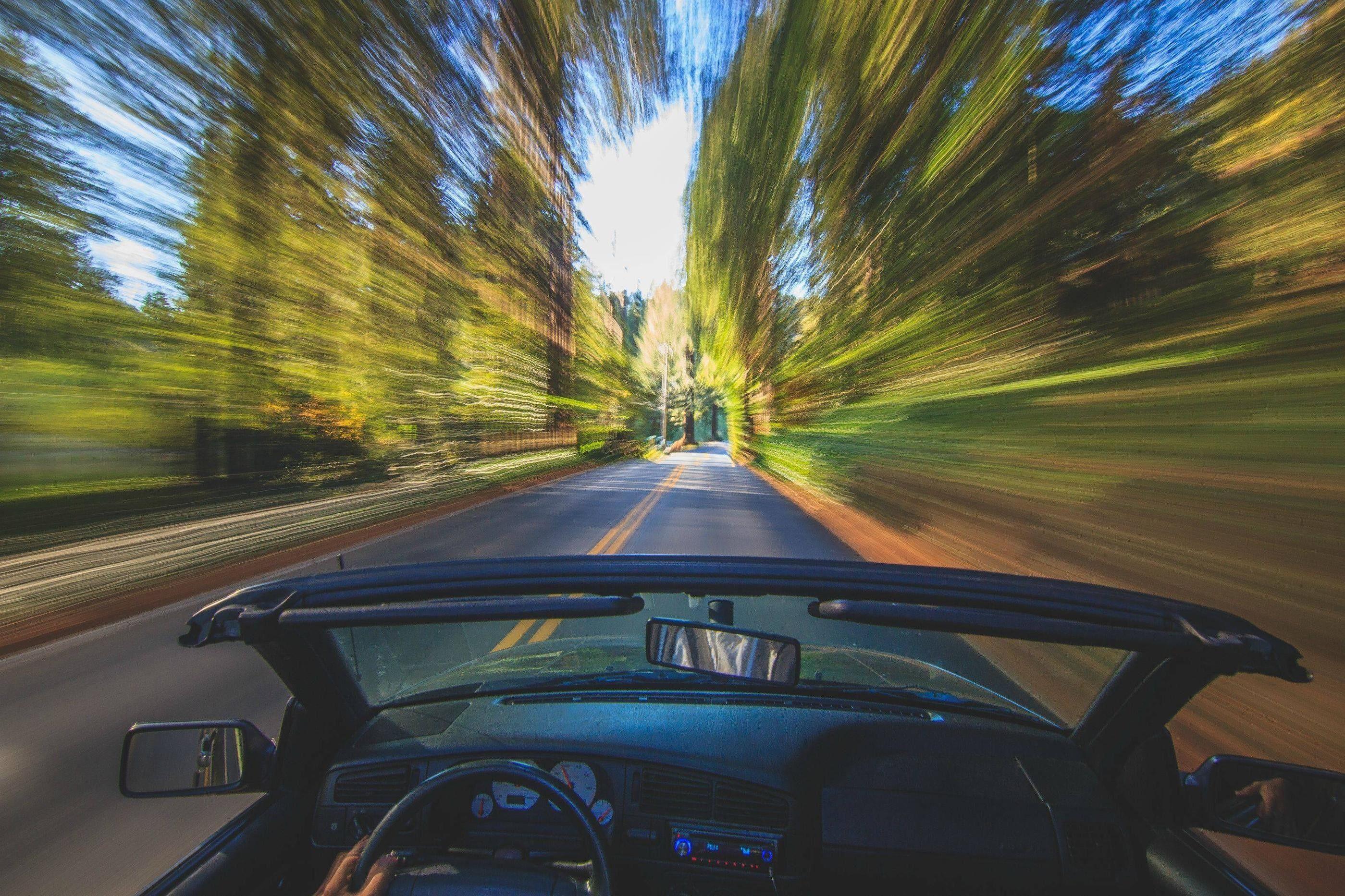 driving, Motion blur, Forest Wallpaper HD / Desktop and Mobile