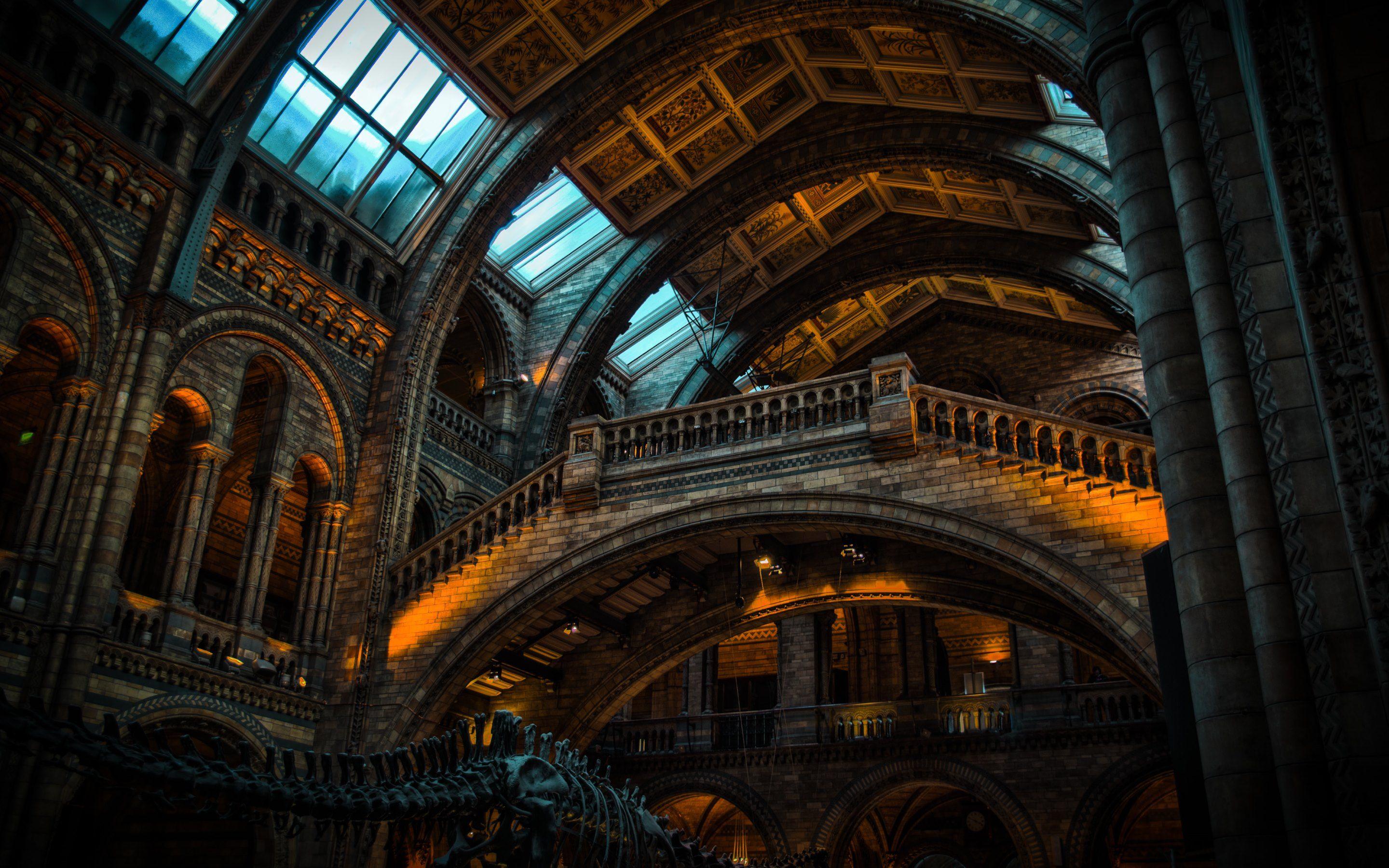 Natural History Museum Architecture. HD Wallpaper · 4K