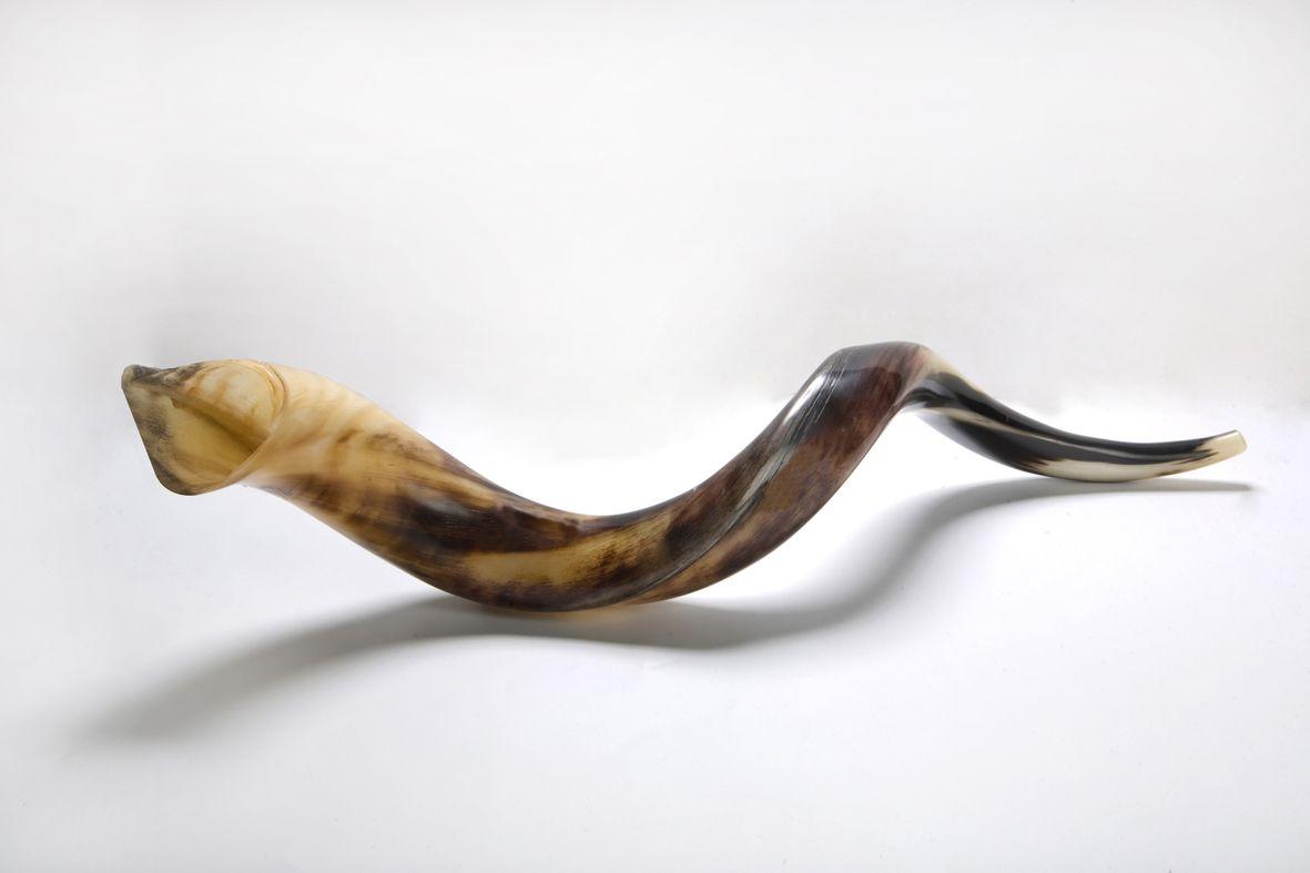 David Victor Vector: Rosh HaShanah 2016