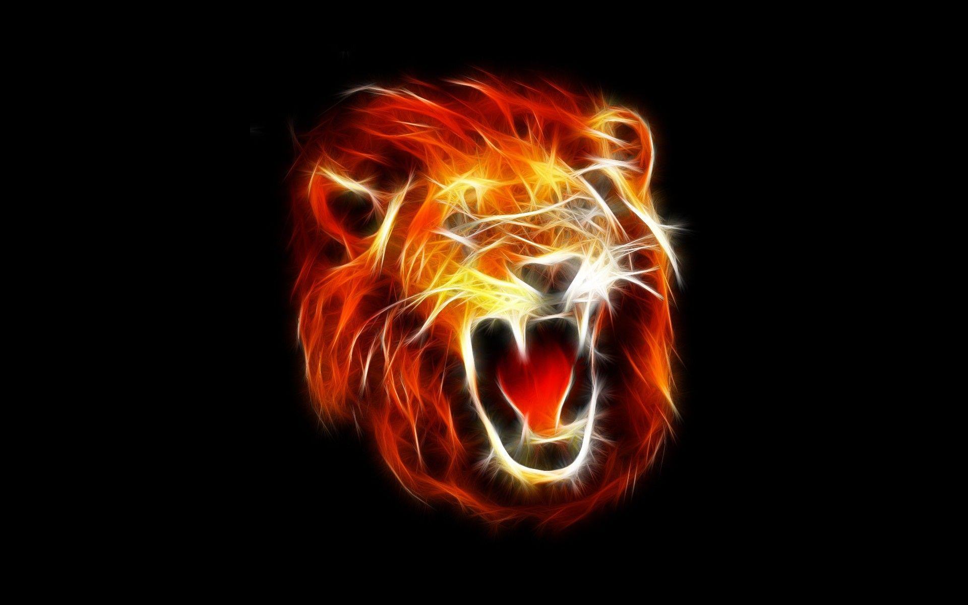 Fire face of a lion, black background wallpaper and image