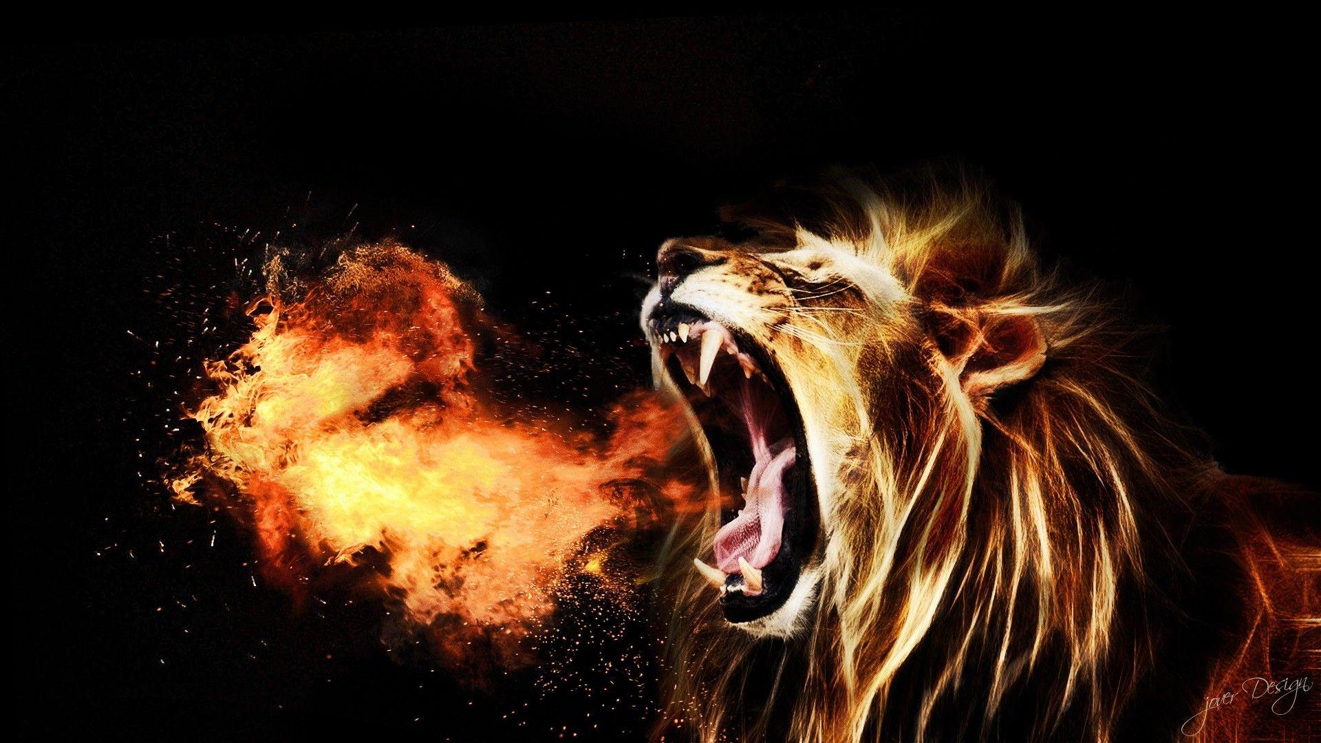 roaring lion wallpaper hd