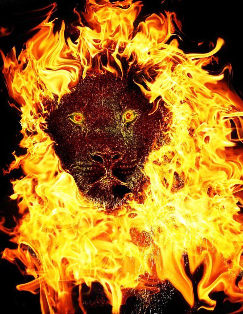Fire Lion Wallpapers - Wallpaper Cave