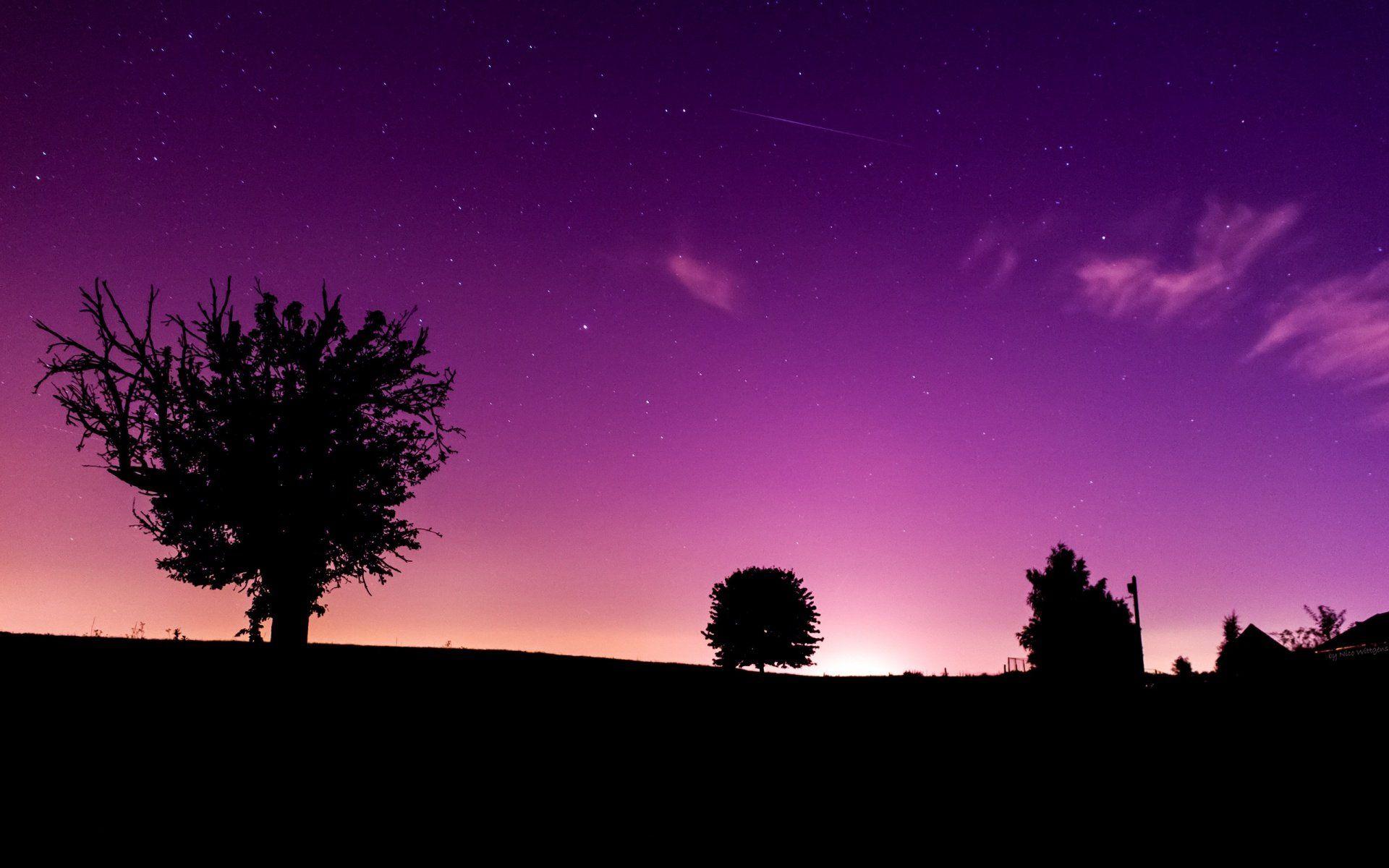 Farm Silhouette In The Purple Night