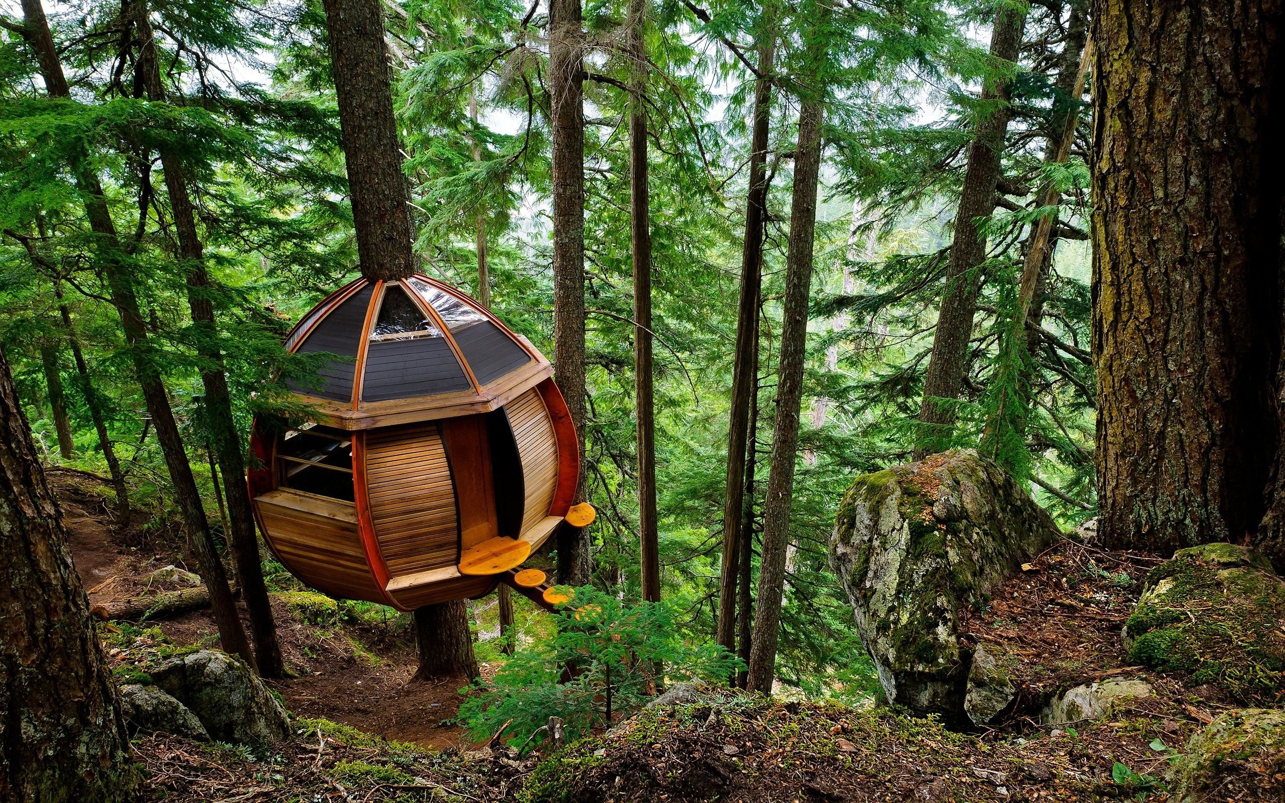Special Tree House
