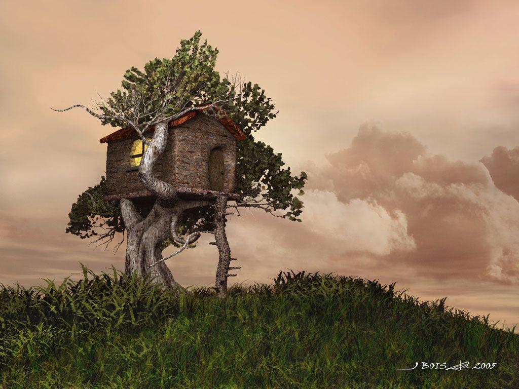 A Tree House. Photo and Desktop Wallpaper