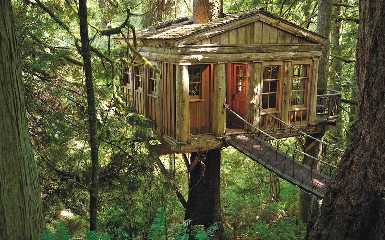 900x1350px Wallpaper of Treehouse HD 30