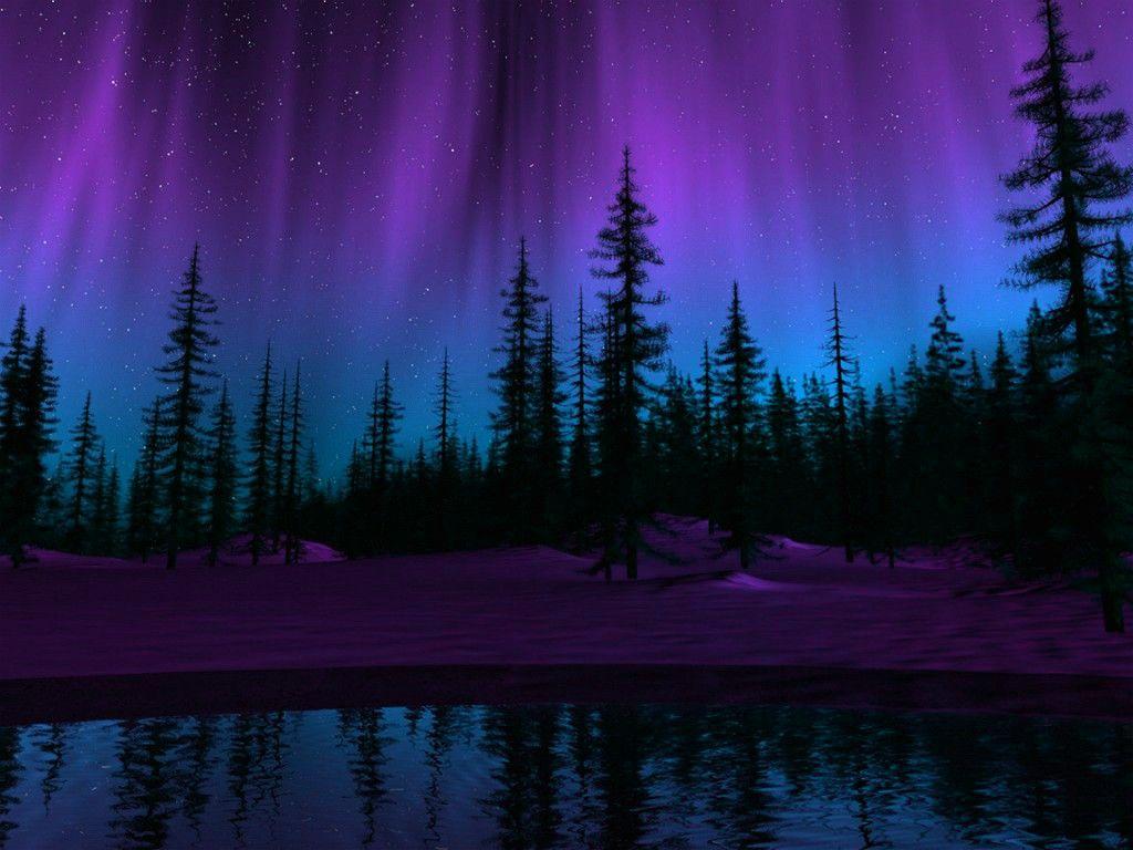 Forest: Northern Lights Stars Purple Lake Blue Night Trees Natural