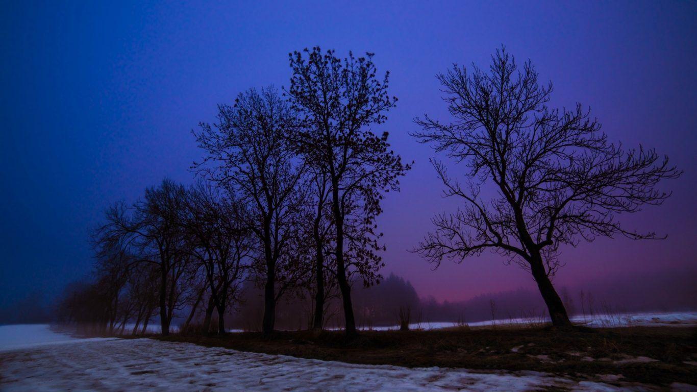 Winter: Winter Evening Beautiful Purple Night Fields Trees