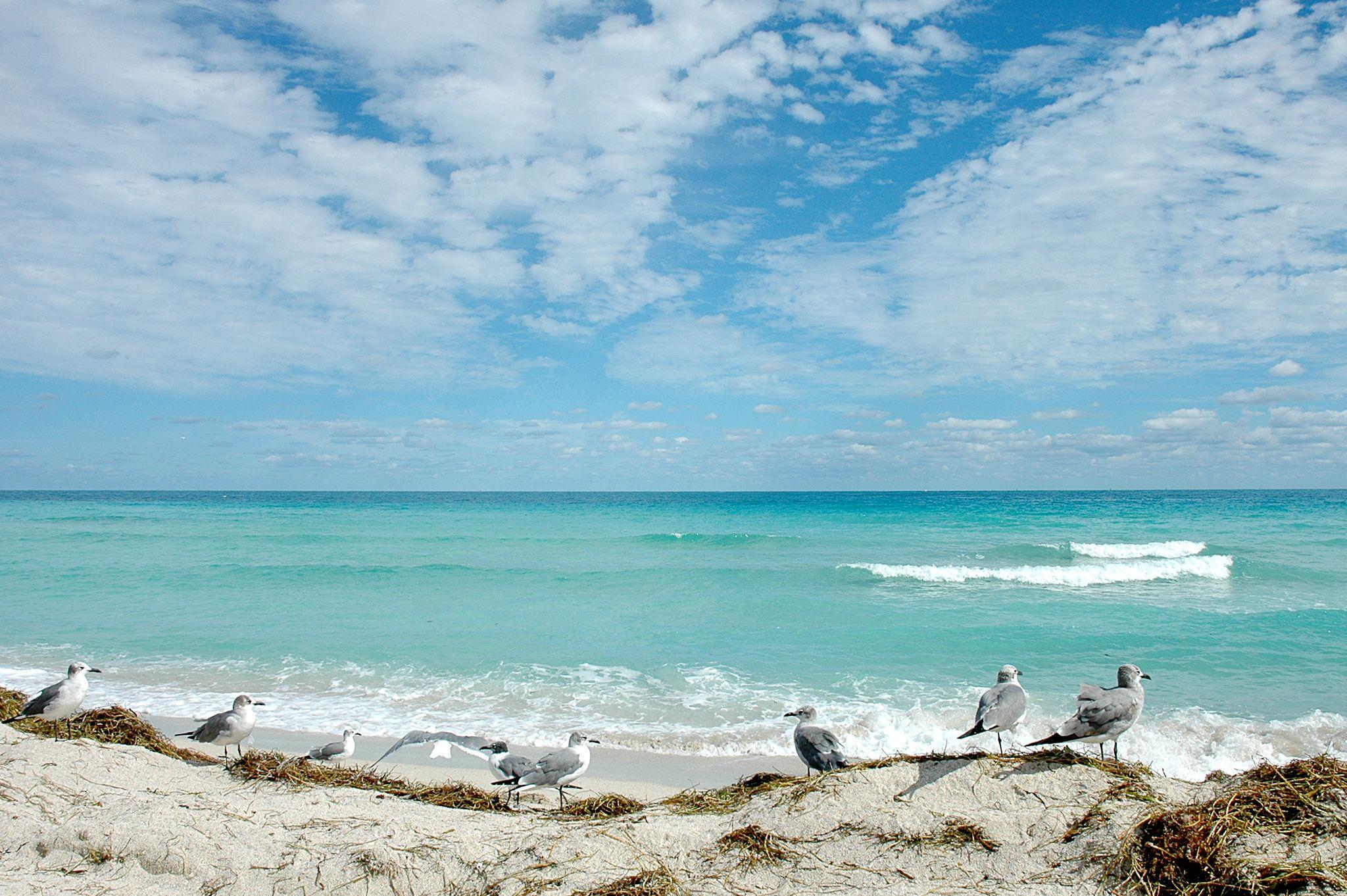 Florida Beaches Image.