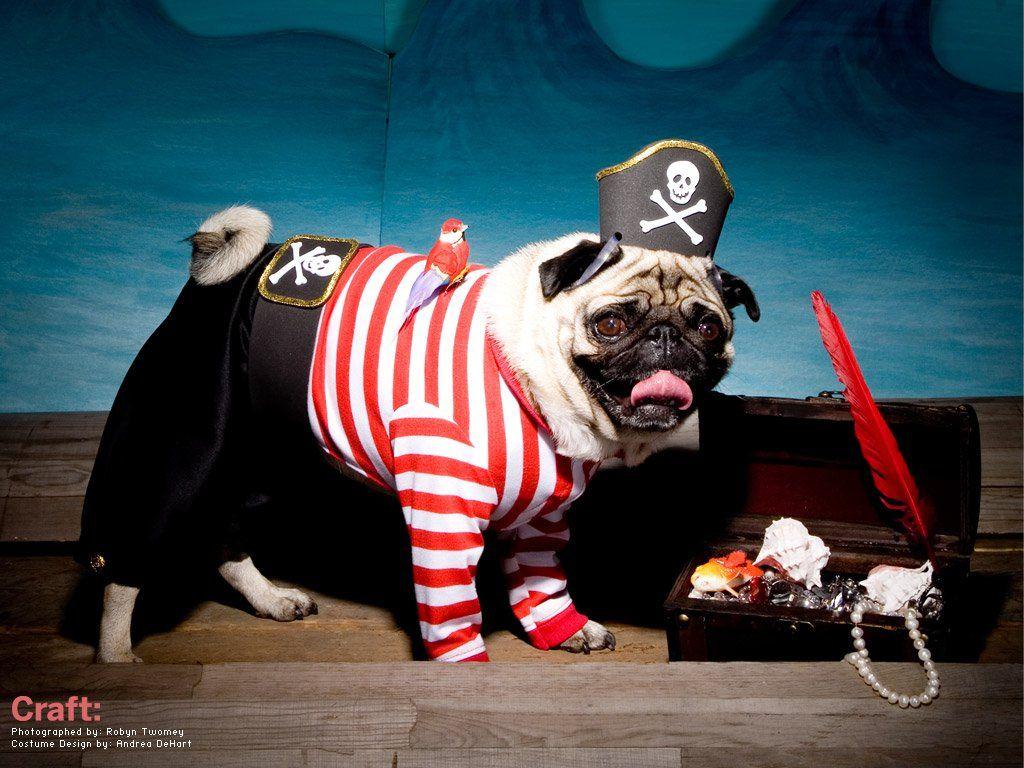 Talk Like a Pirate Day with CRAFT: 04 Pirate Wallpaper