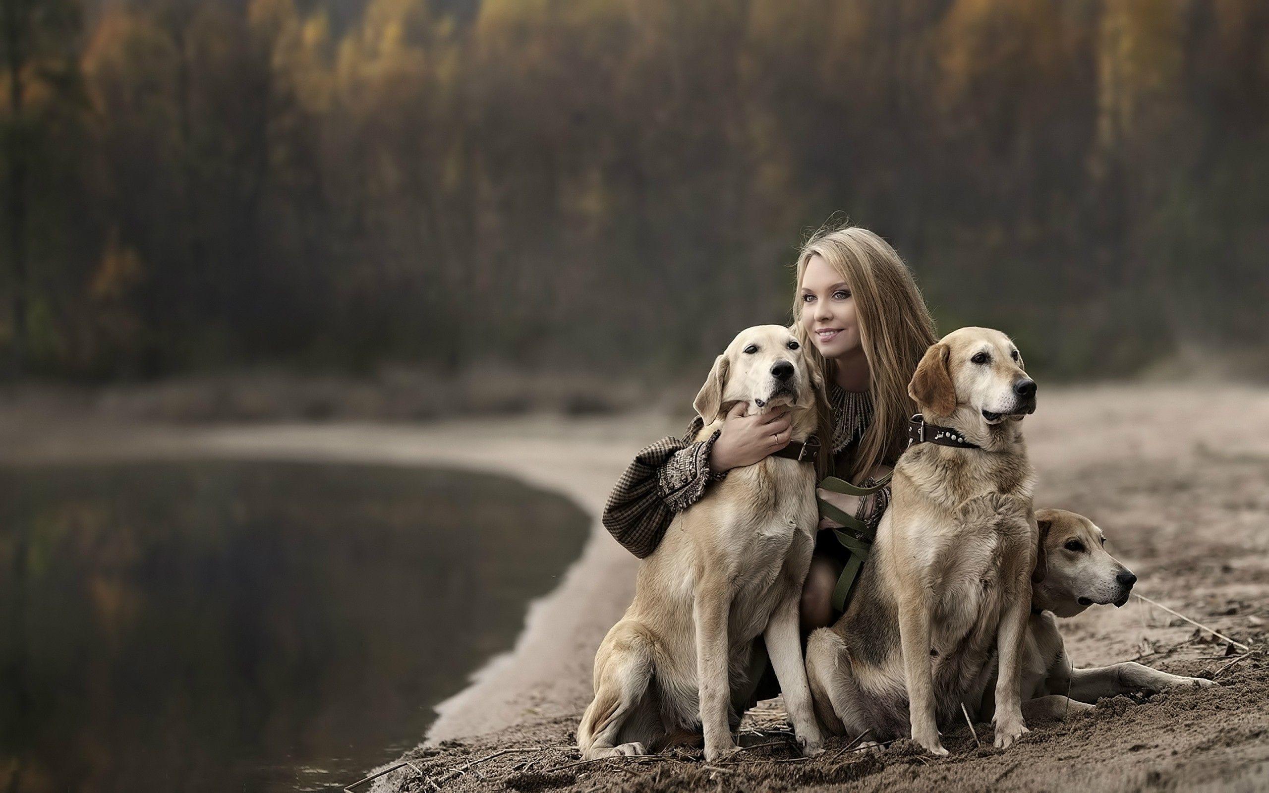 Girl With Labradors. Girls HD 4k Wallpaper