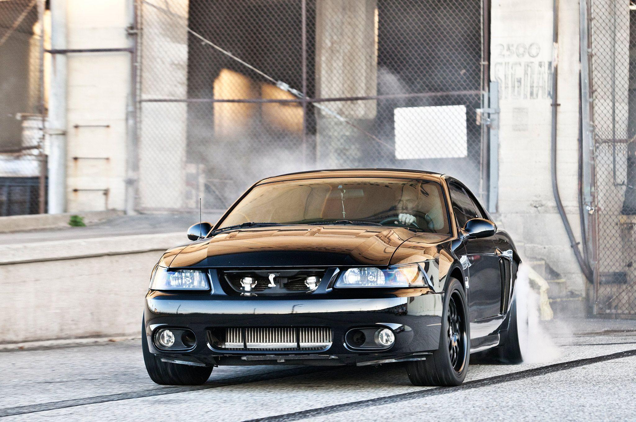 Terminator Mustang 2003