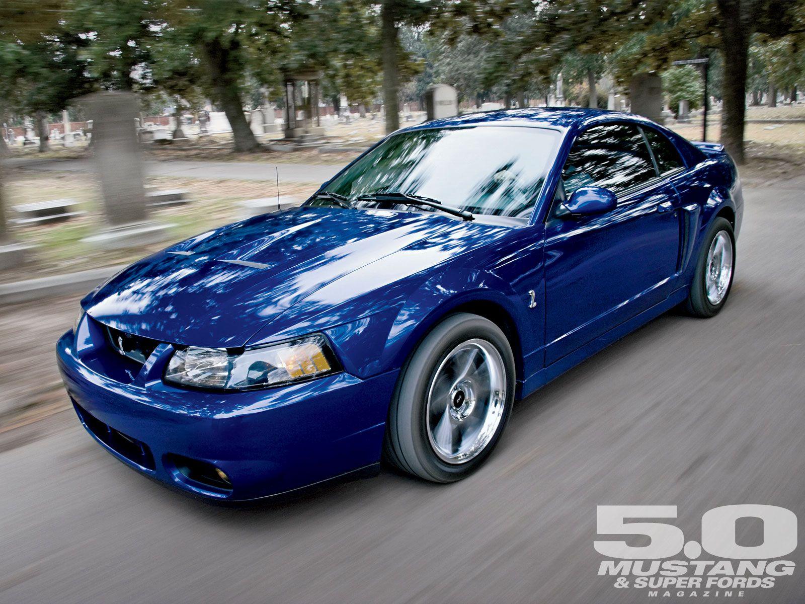 What Is A Mustang Cobra Terminator

