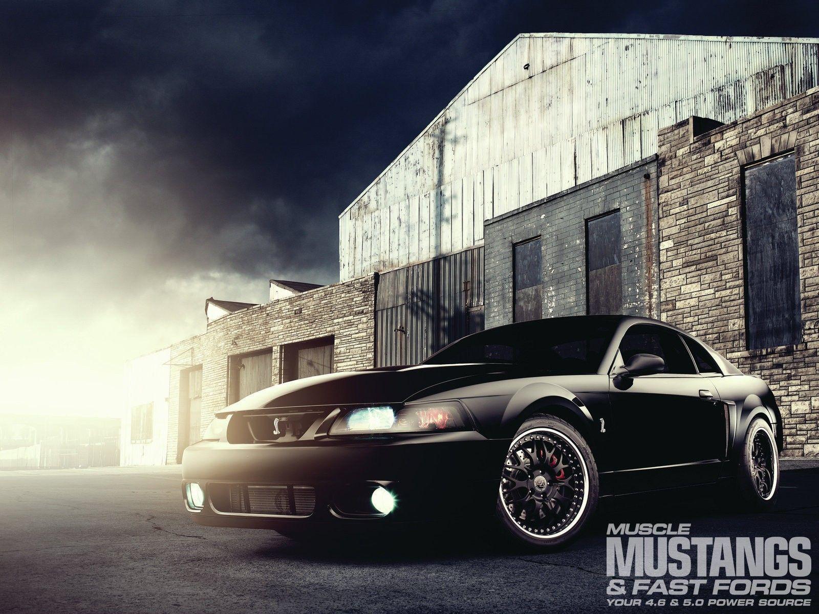 2003 Ford Mustang Cobra Terminator Wallpapers - Wallpaper Cave