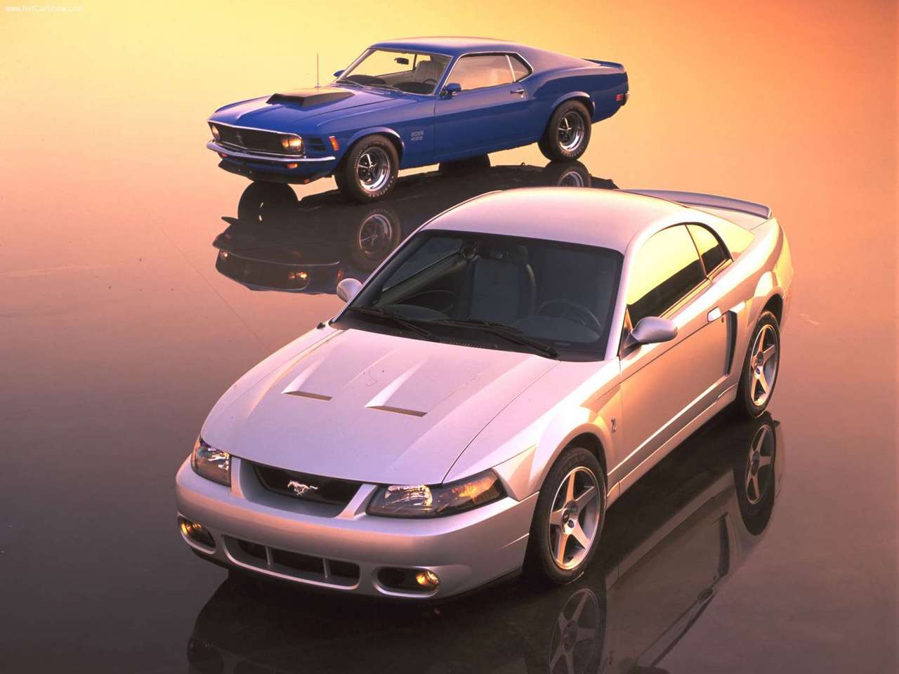 Ford Mustang SVT Cobra The Terminator Cars Wallpaper