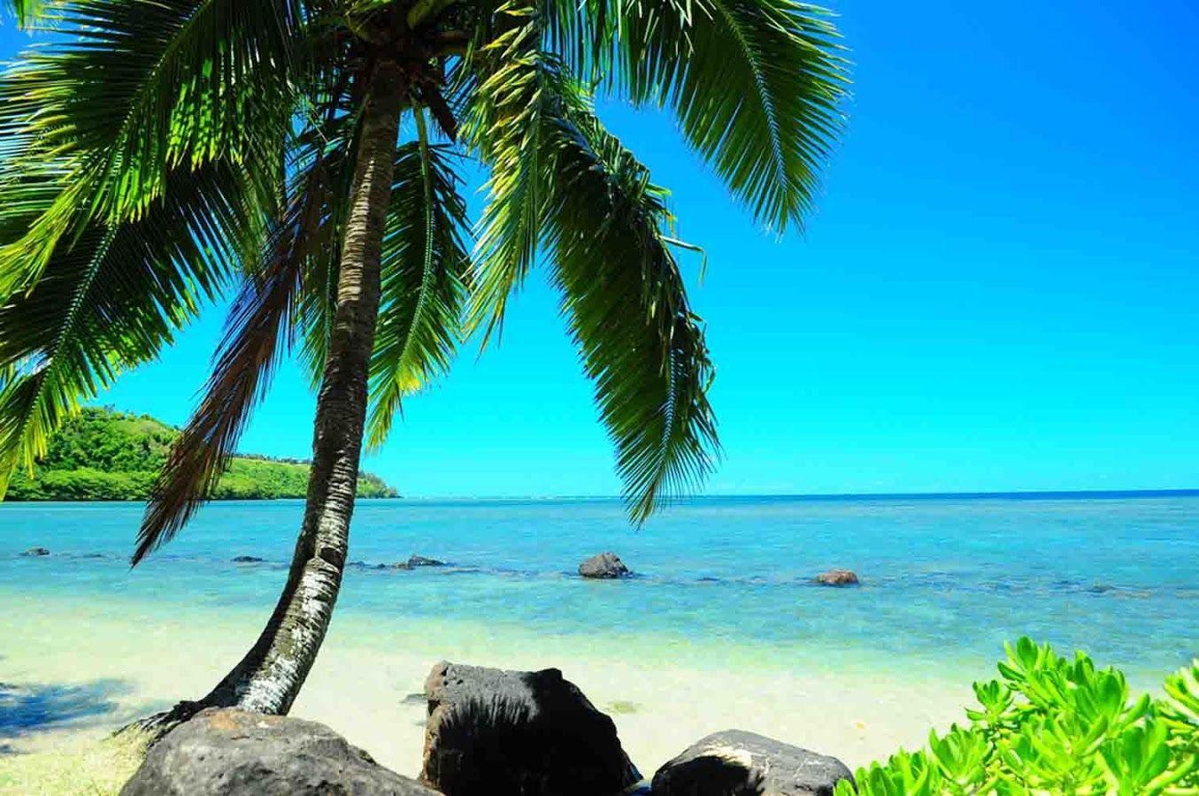 Hawaiian Islands Wallpaper Apps on Google Play