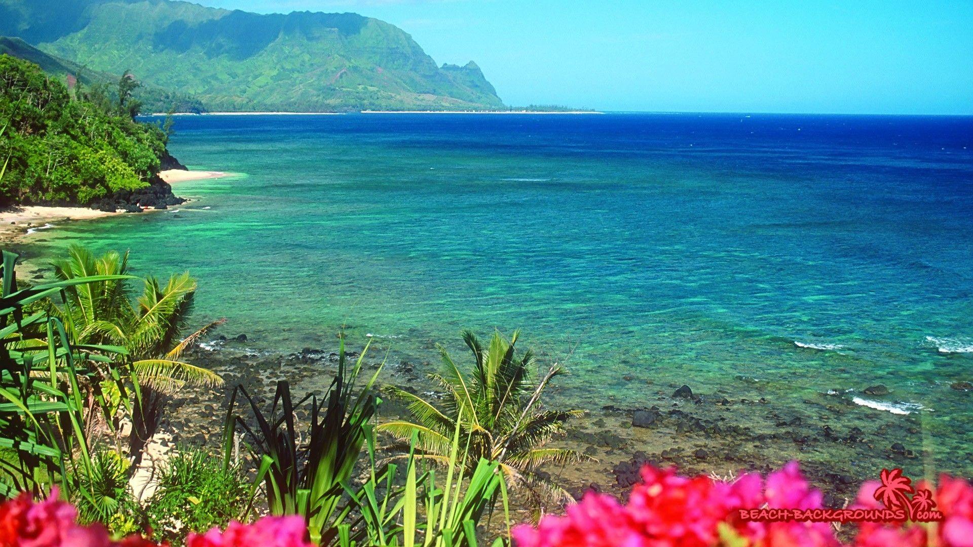 Nature Hawaiian Beach Beaches Hawaii Oceans Flowers Wallpaper