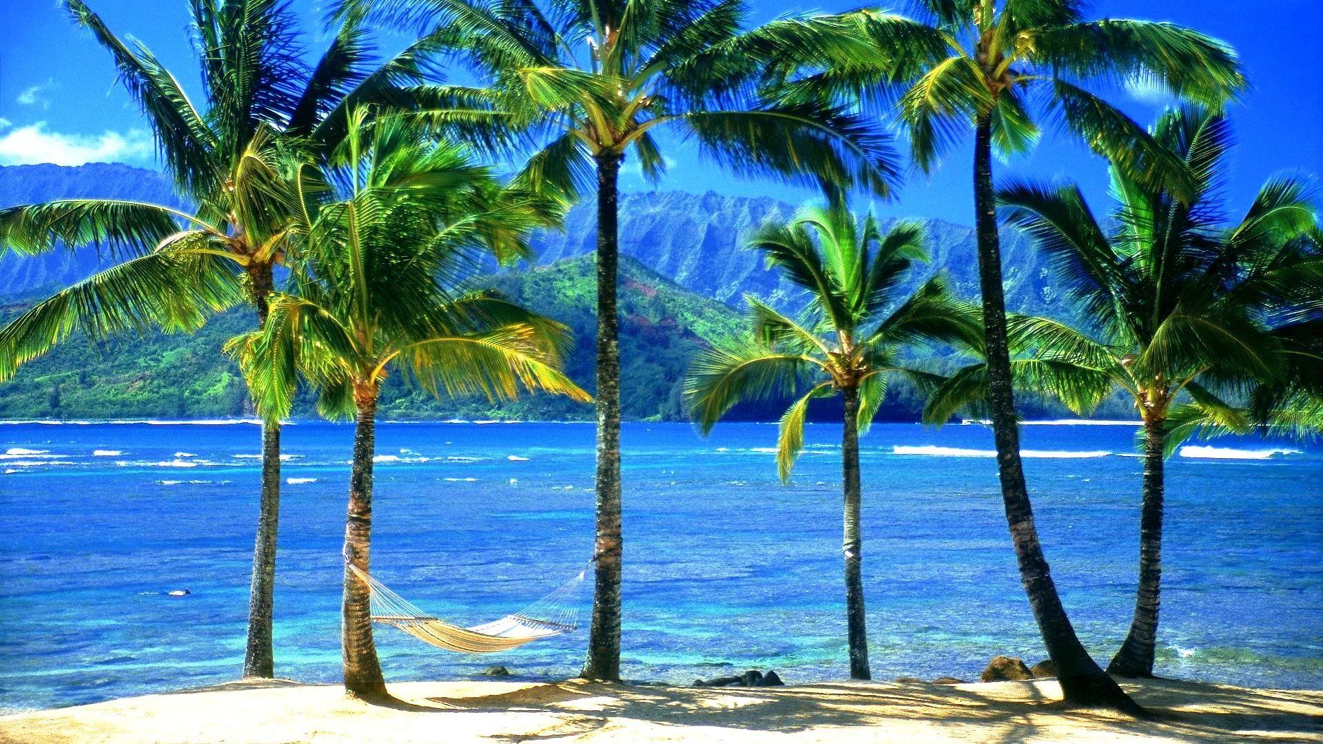 Hawaiian Beach Picture Wallpaper