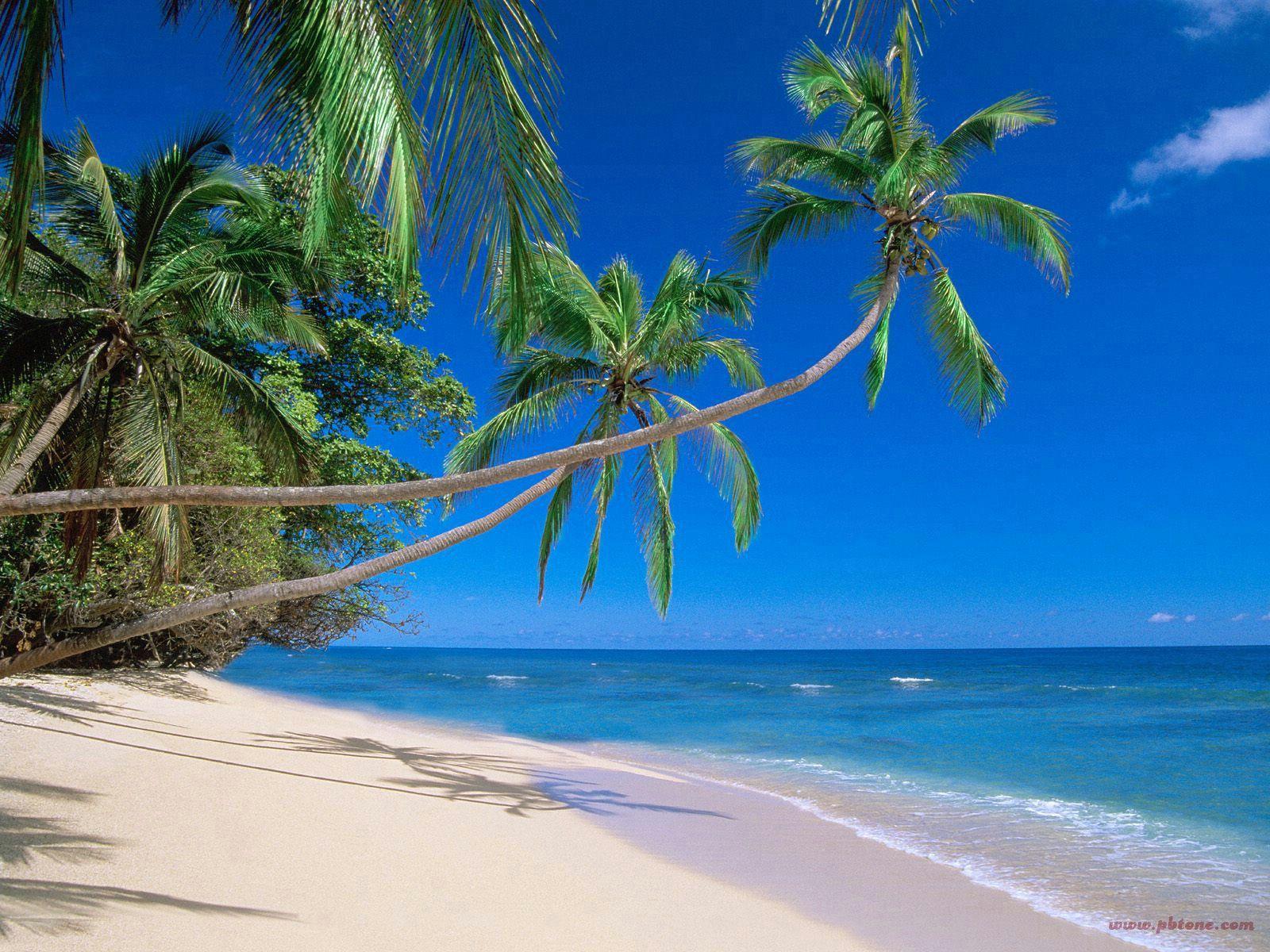 Hawaiian Beach Wallpaper, 45 PC Hawaiian Beach Background