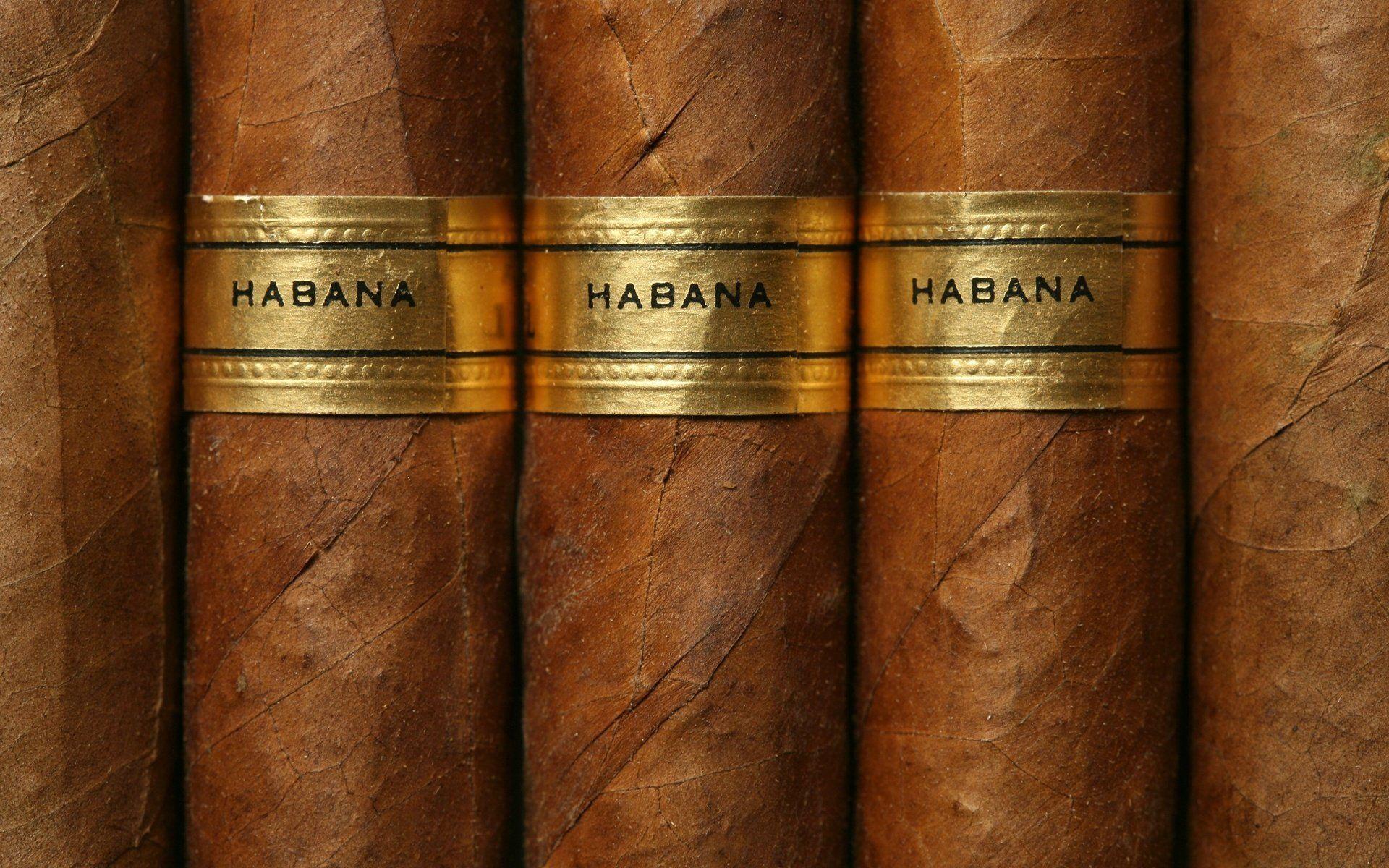 cuban cigars gold label brown HD wallpaper
