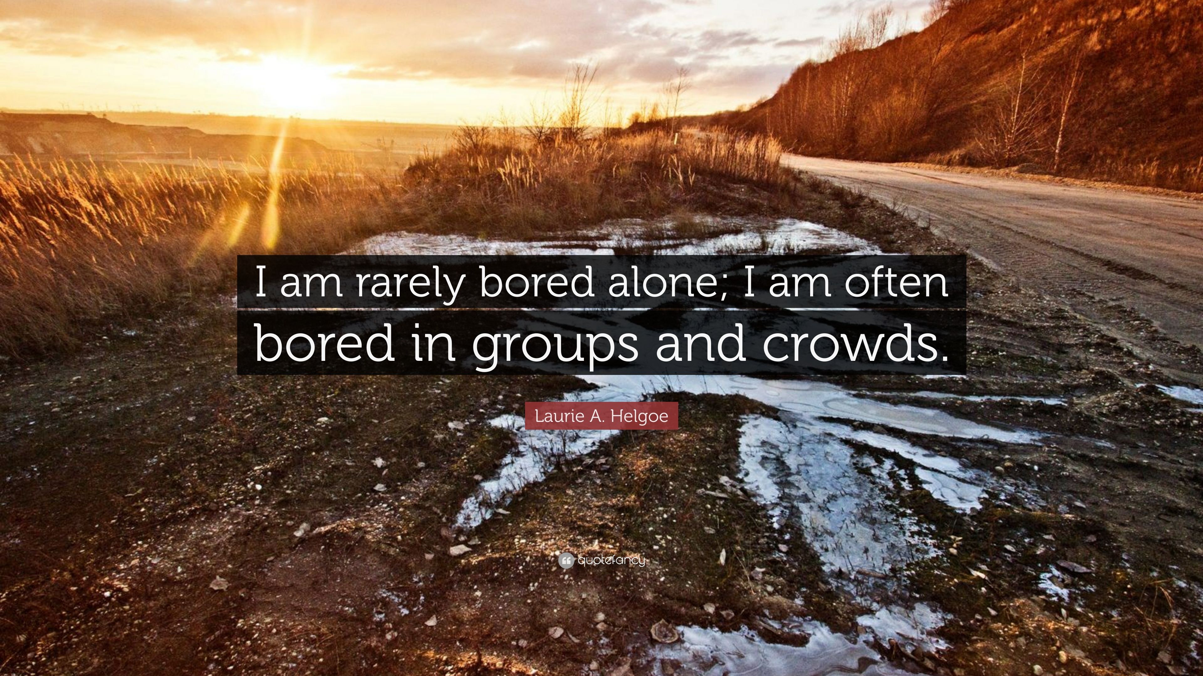 Laurie A. Helgoe Quote: “I am rarely bored alone; I am often bored